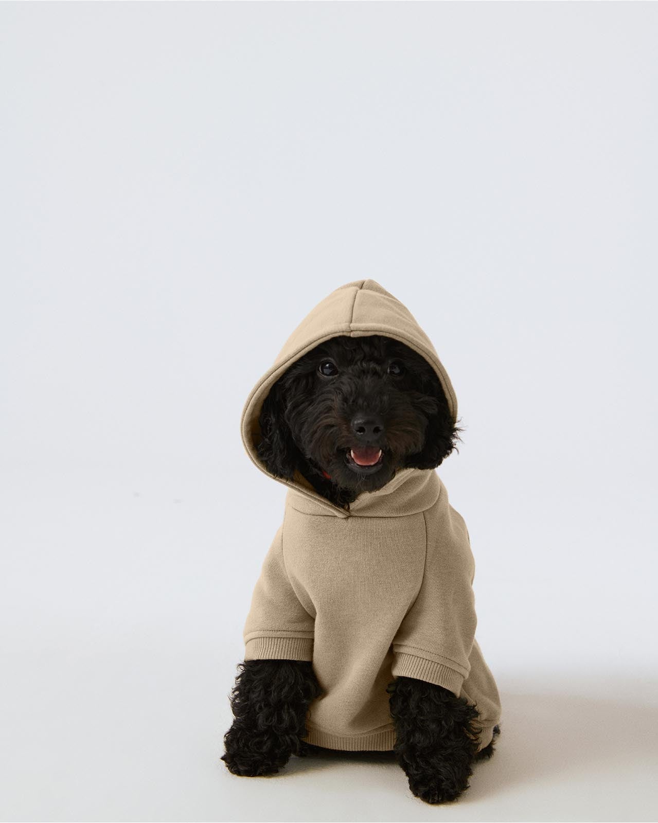 Köpek Hoodie - Krem