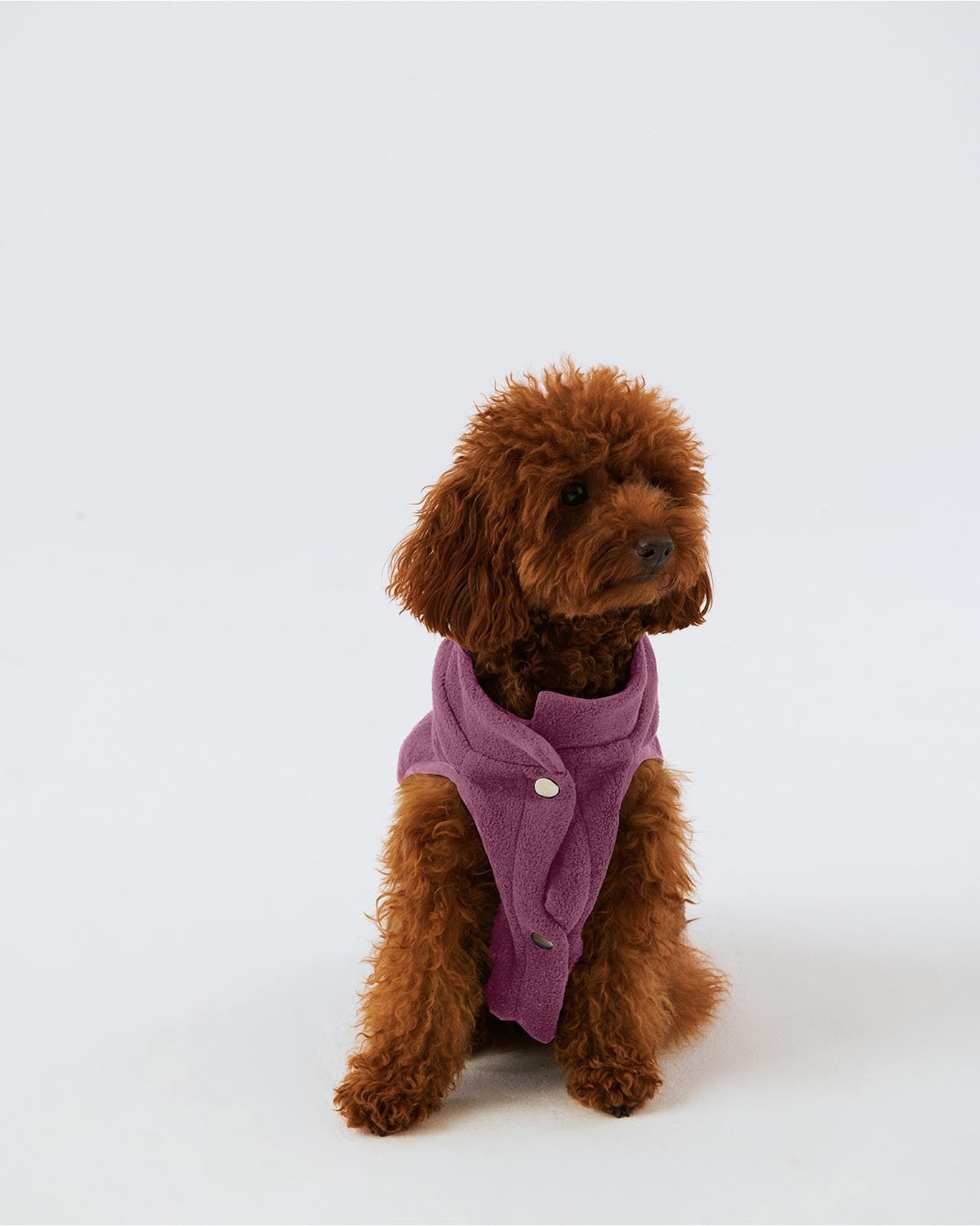 Köpek Polar Mont - Lila