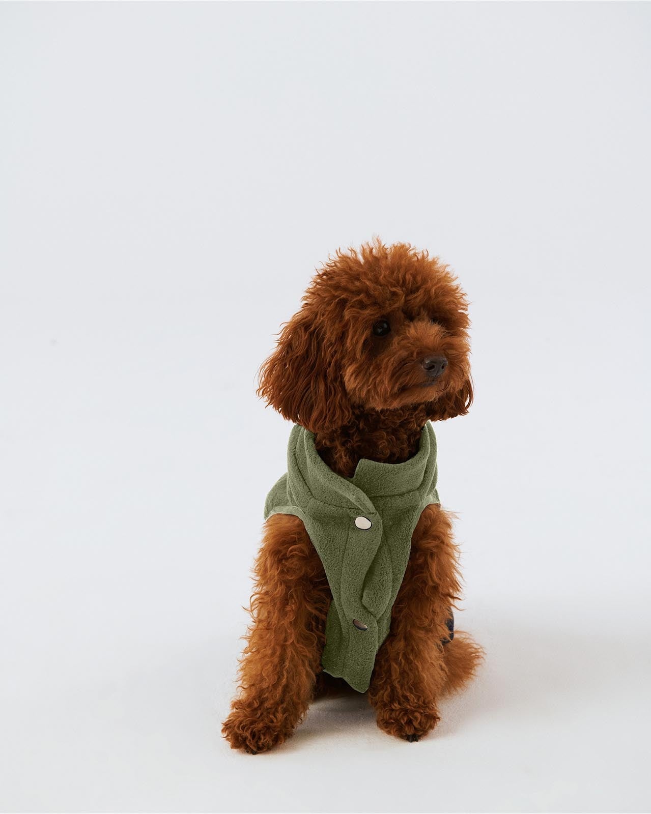 Köpek Polar Mont - Green