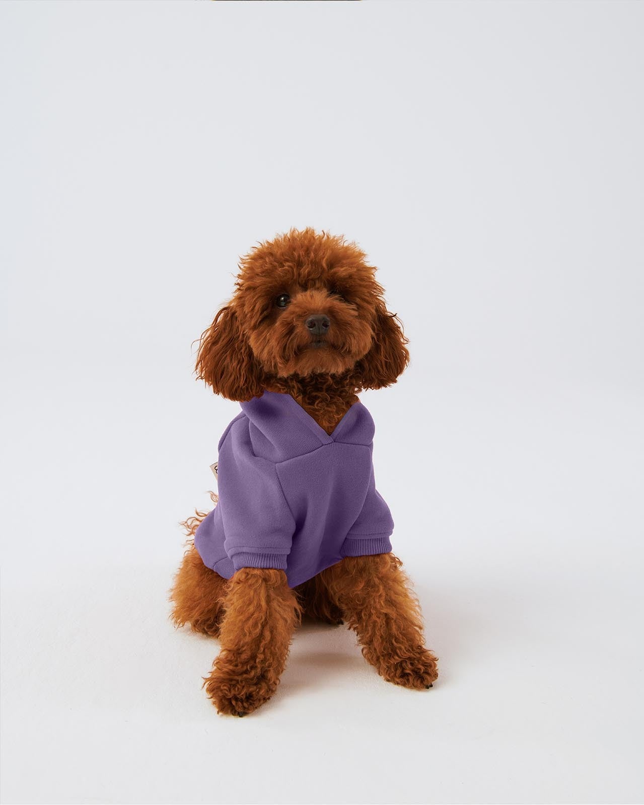 Matchy Hoodie - Lilac