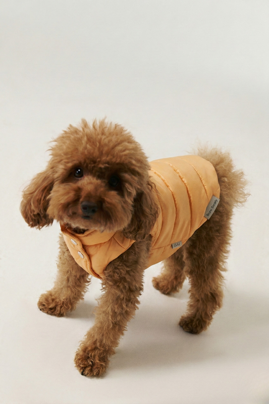 Bruno Classic Puffer Mont - Honey Yellow