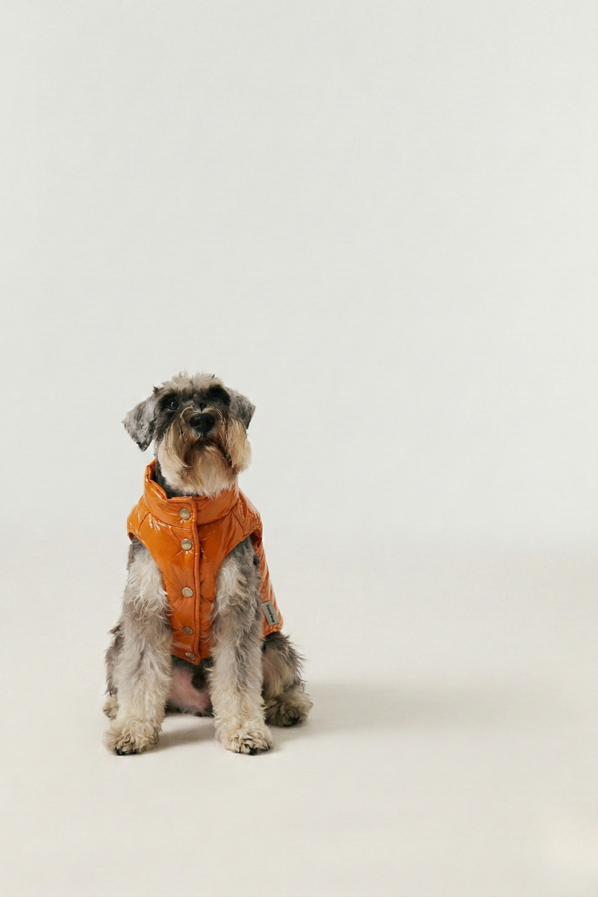 Puffer Vest - Sunny Yellow