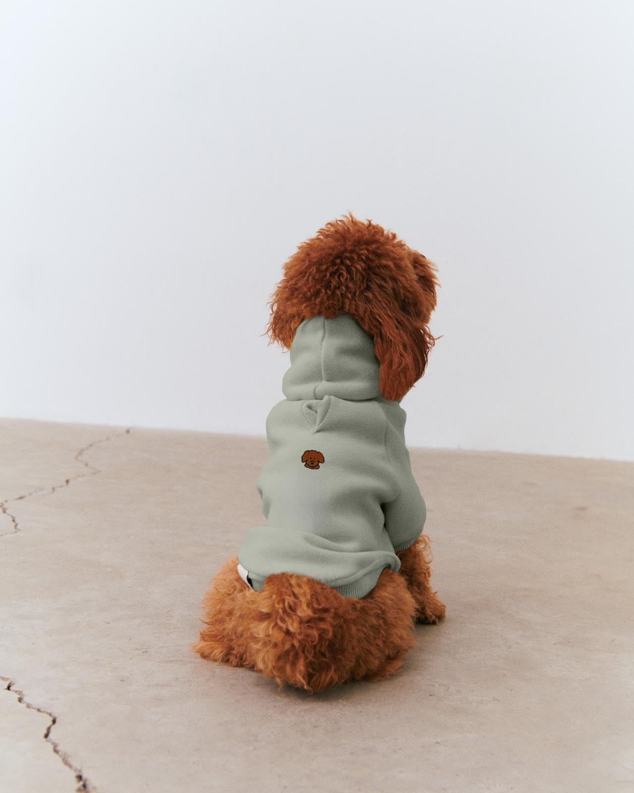 Poodle Dog Hoodie - Gray