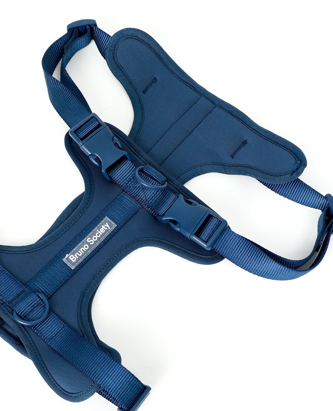 Harness - Ocean Blue