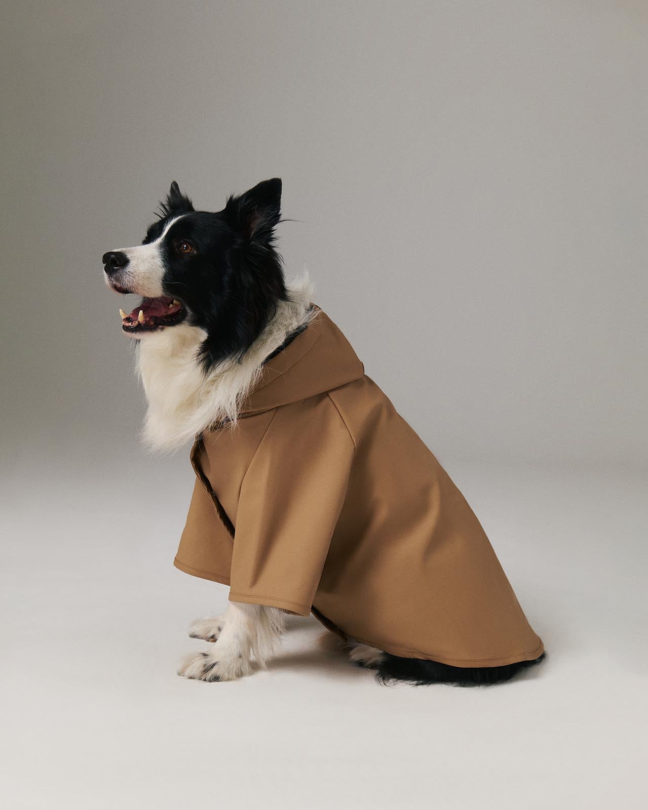 Köpek Yağmurluk - Cinnamon