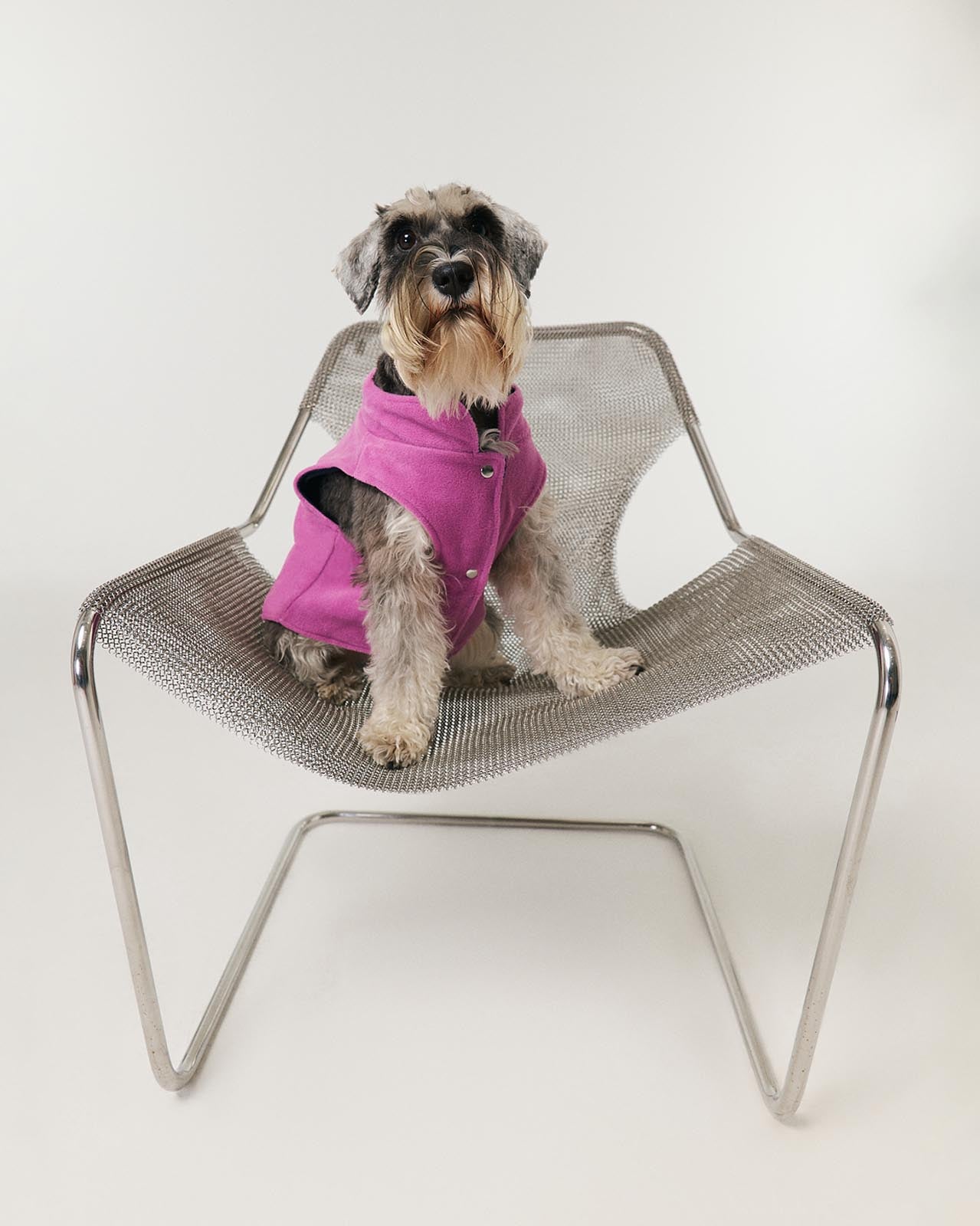 Köpek Polar Mont - Lila