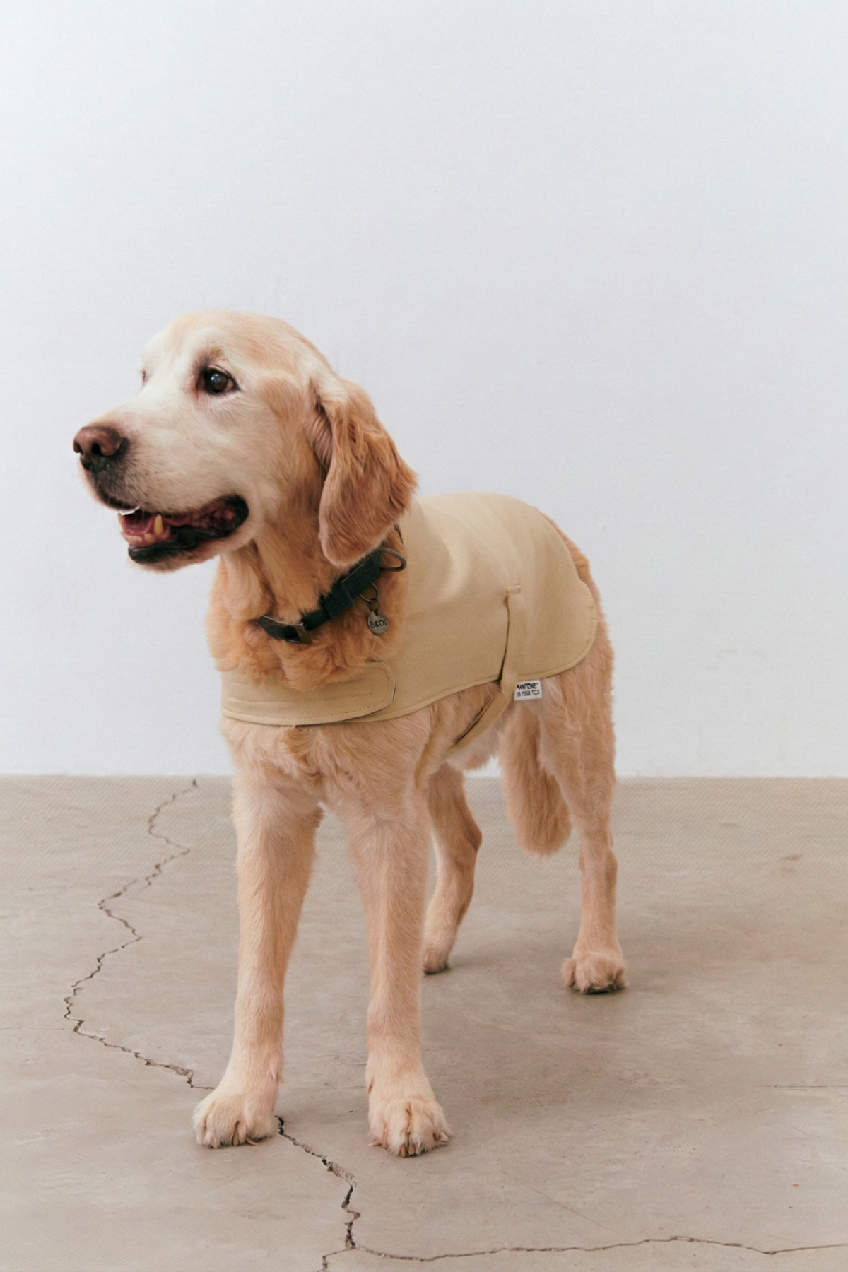 Strapped Raincoat - Snow White