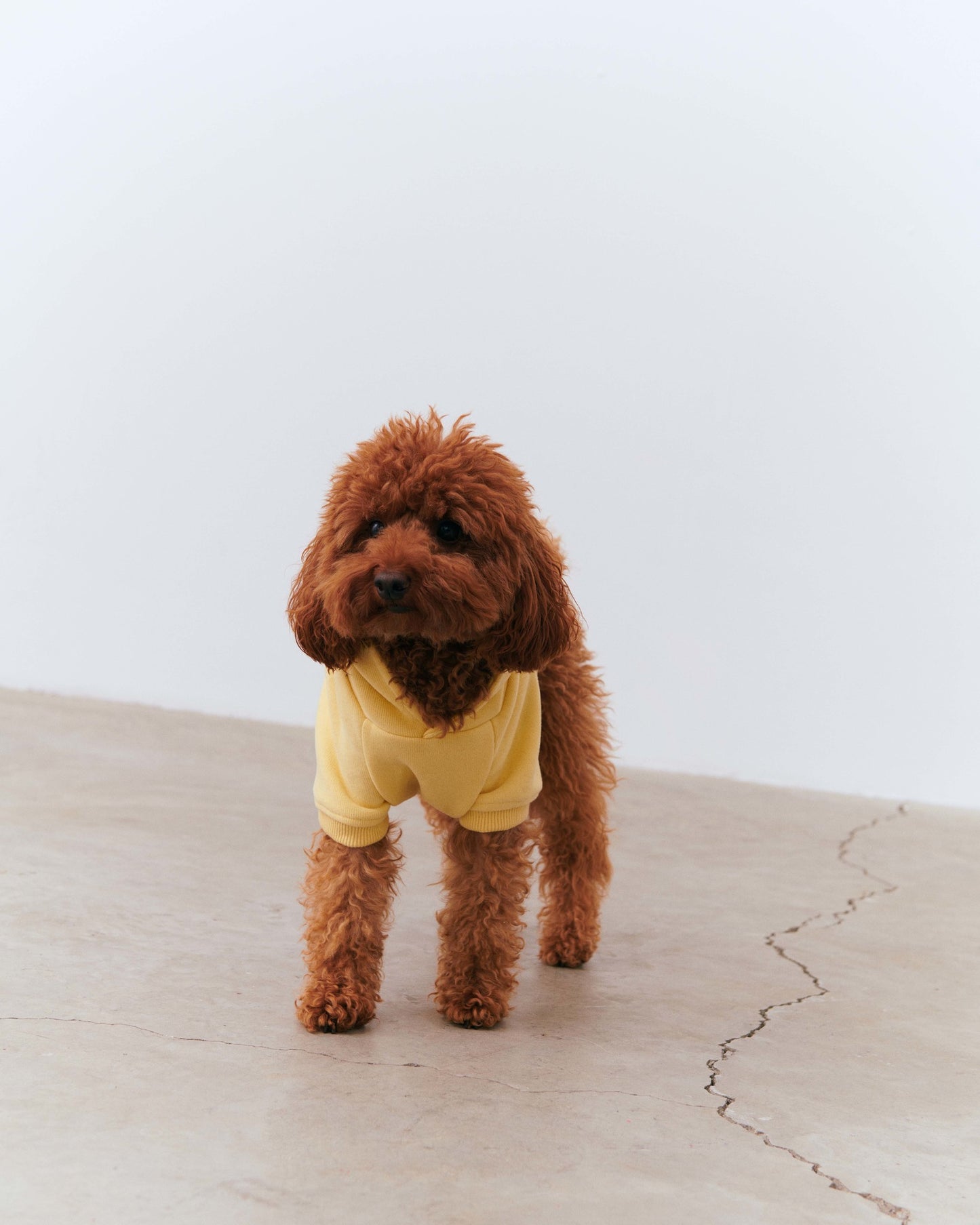 Dog Yoga Hoodie - Yellow