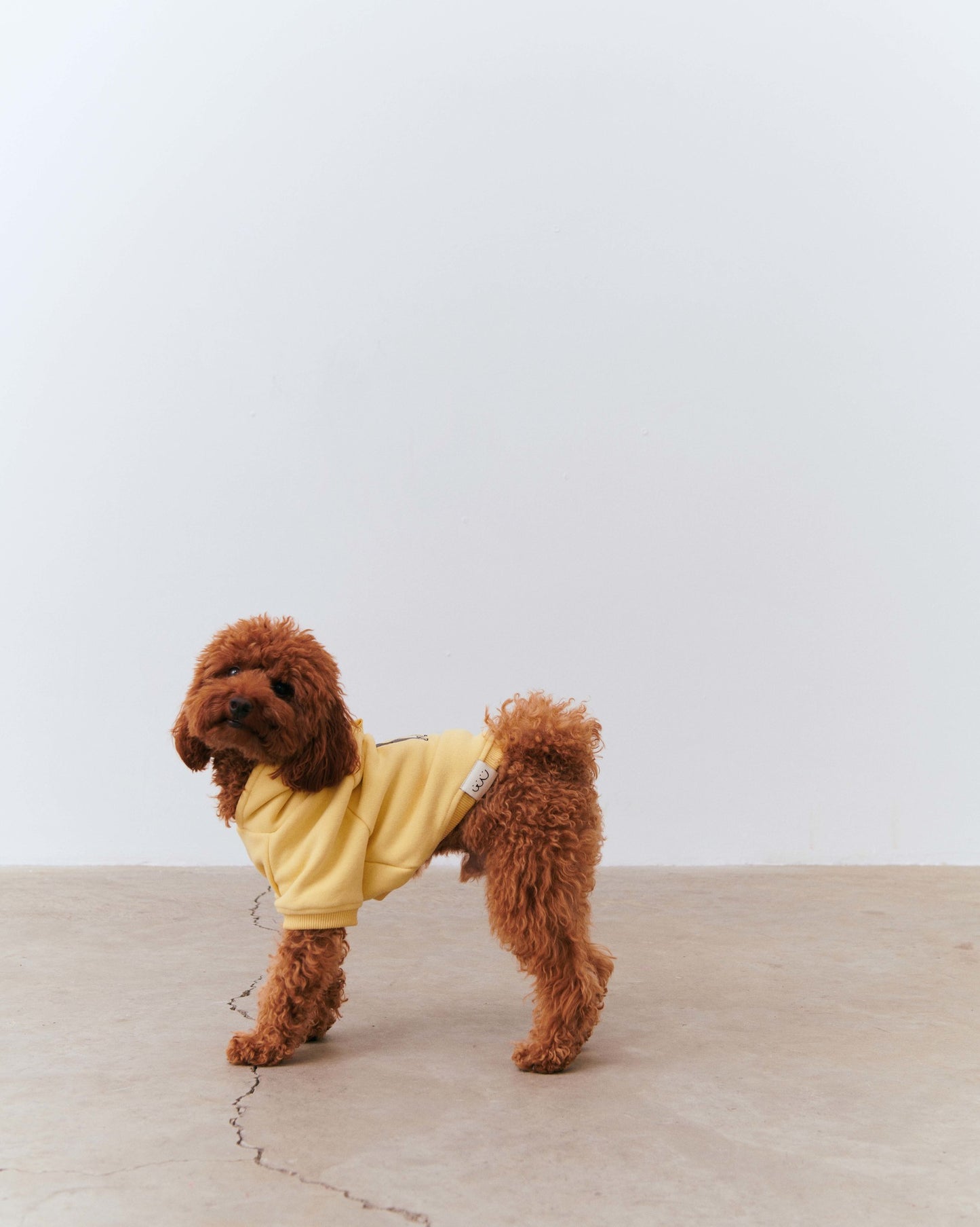 Dog Yoga Hoodie - Yellow