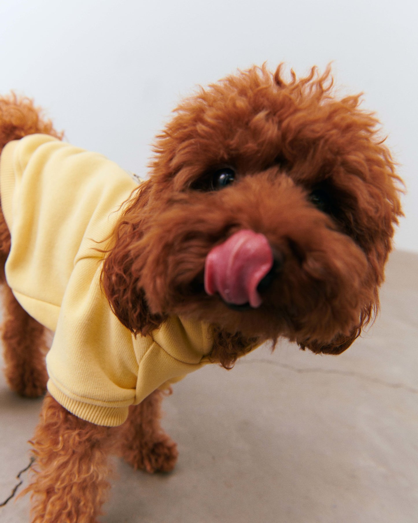 Dog Yoga Hoodie - Yellow