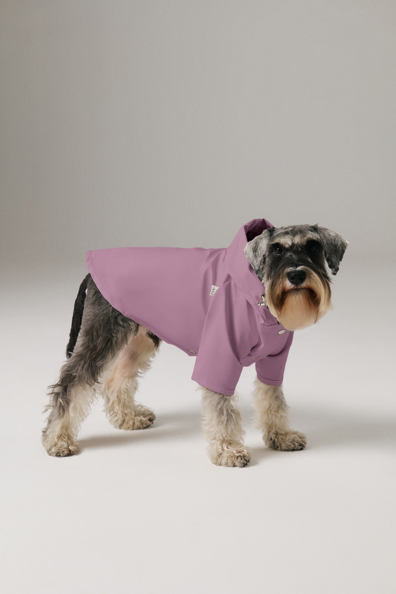 Köpek Yağmurluk - Lilac