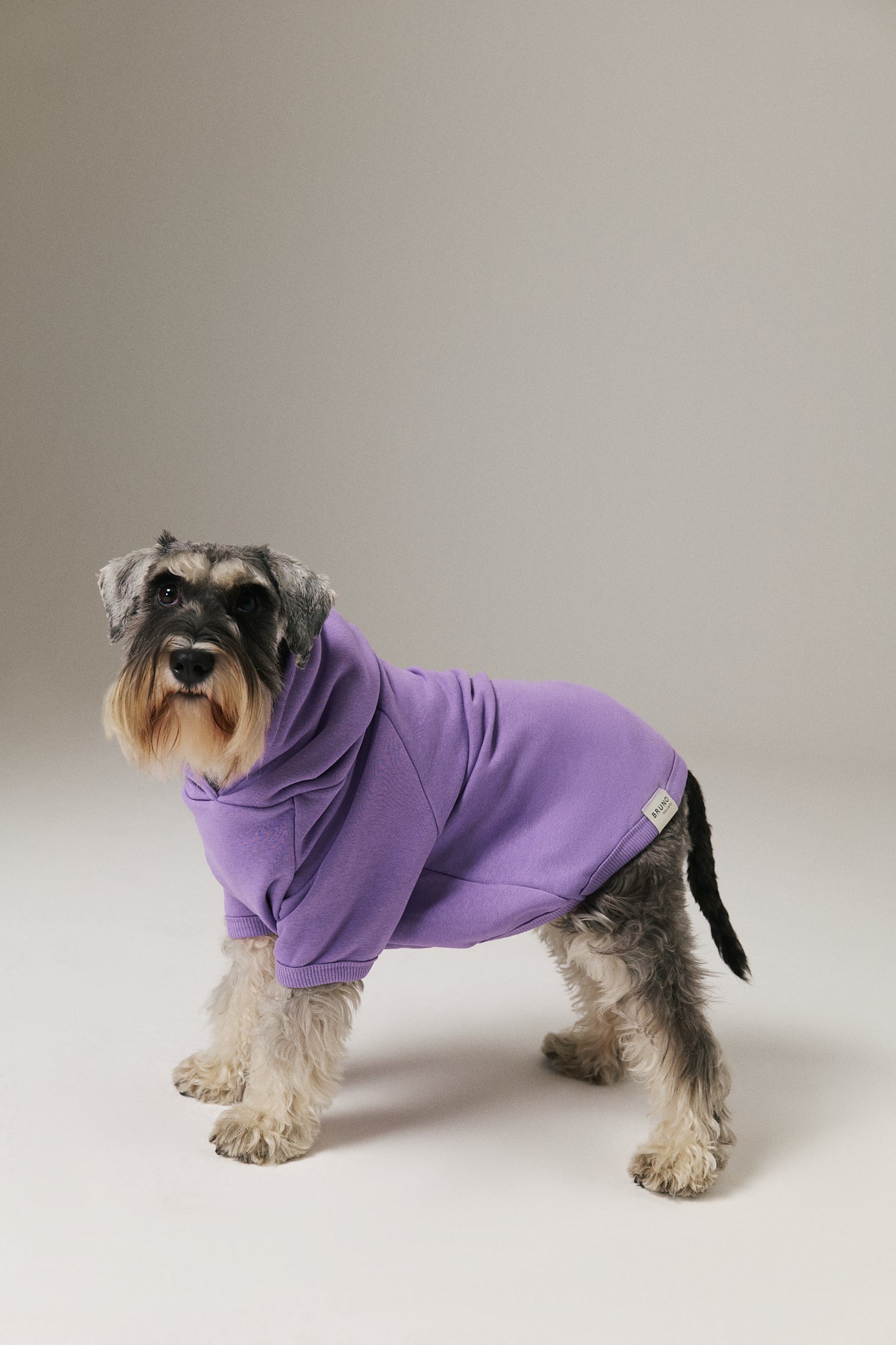 Matchy Hoodie - Lilac