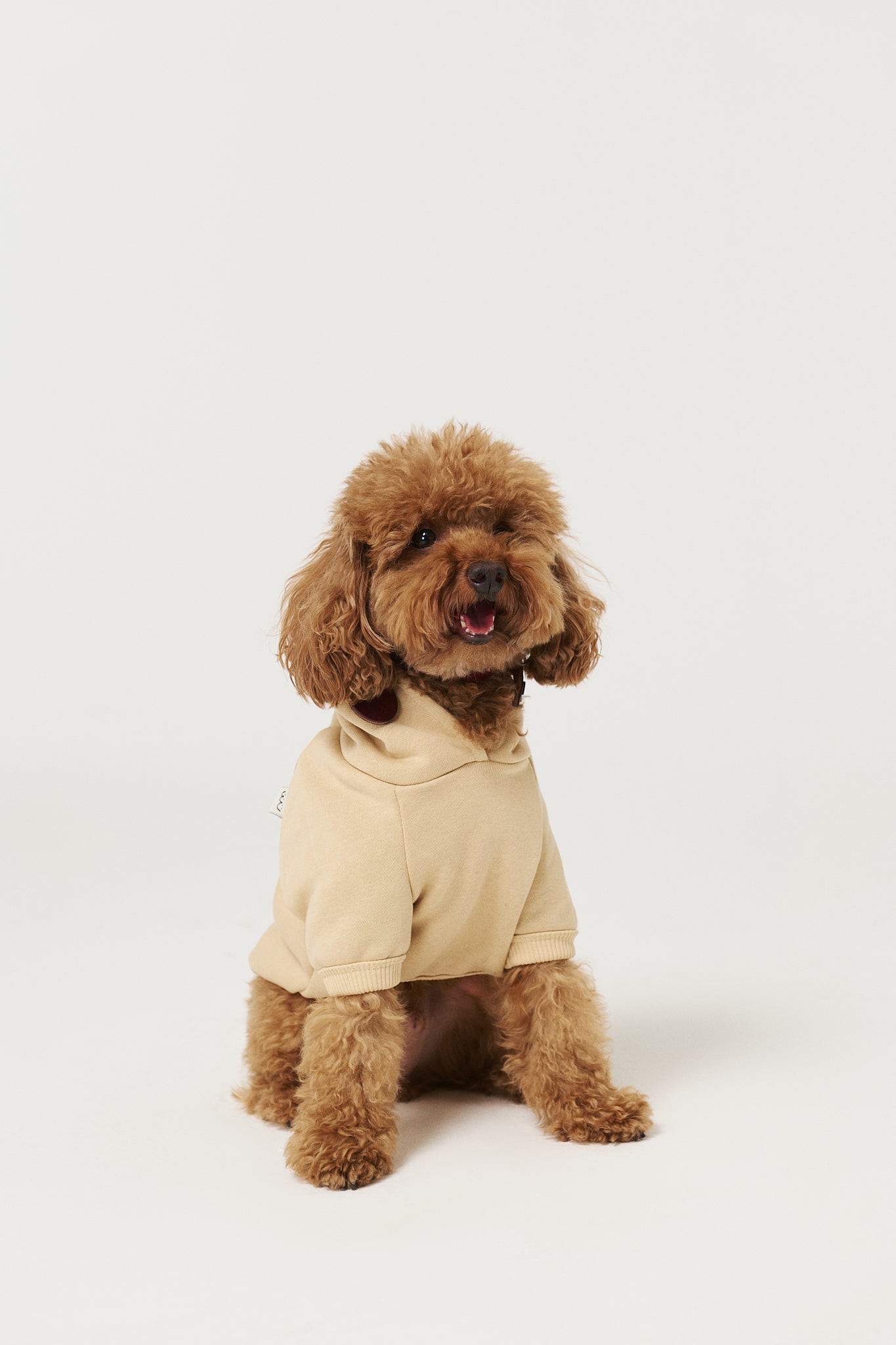 Köpek Hoodie - Krem