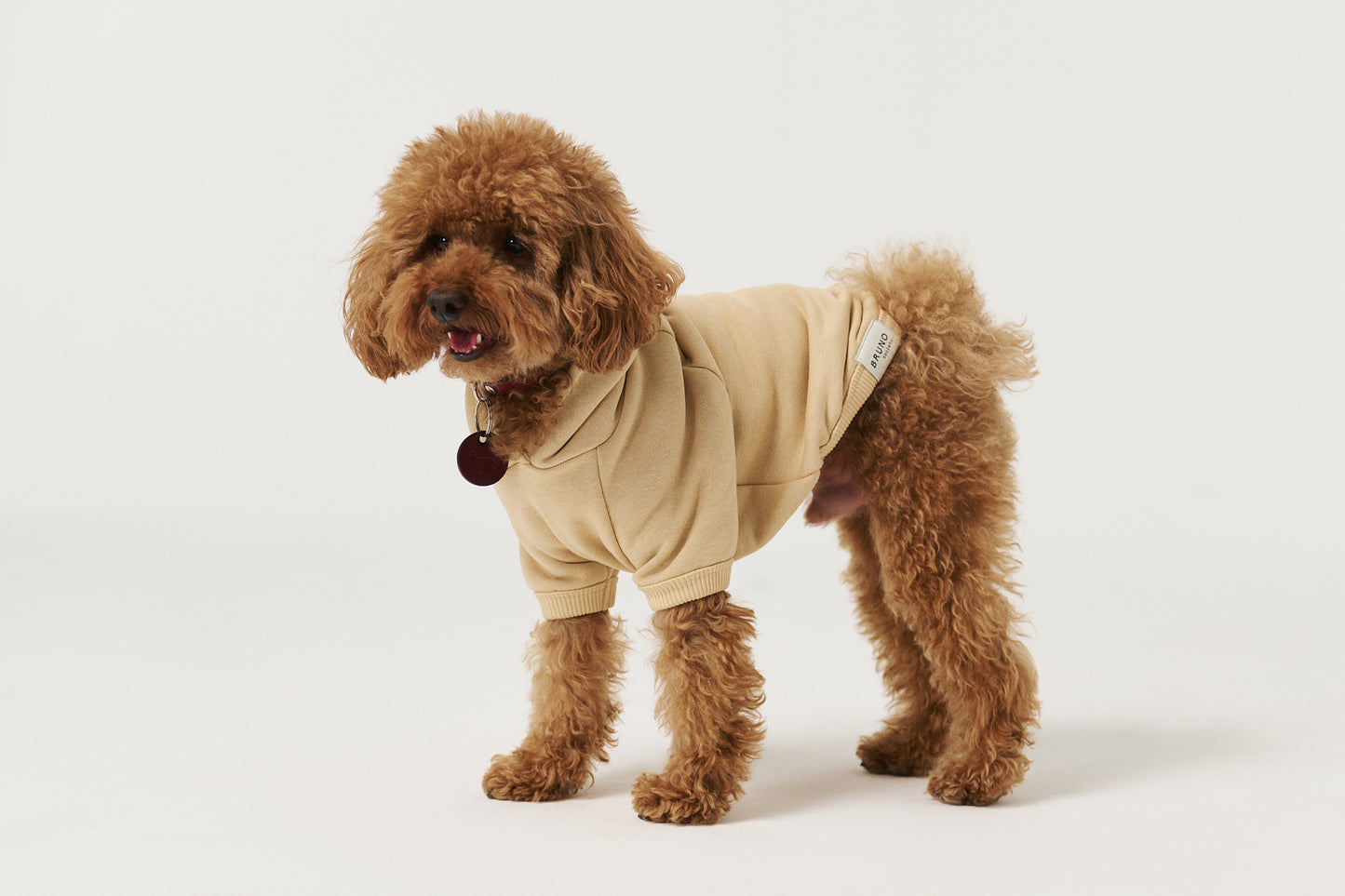Köpek Hoodie - Krem