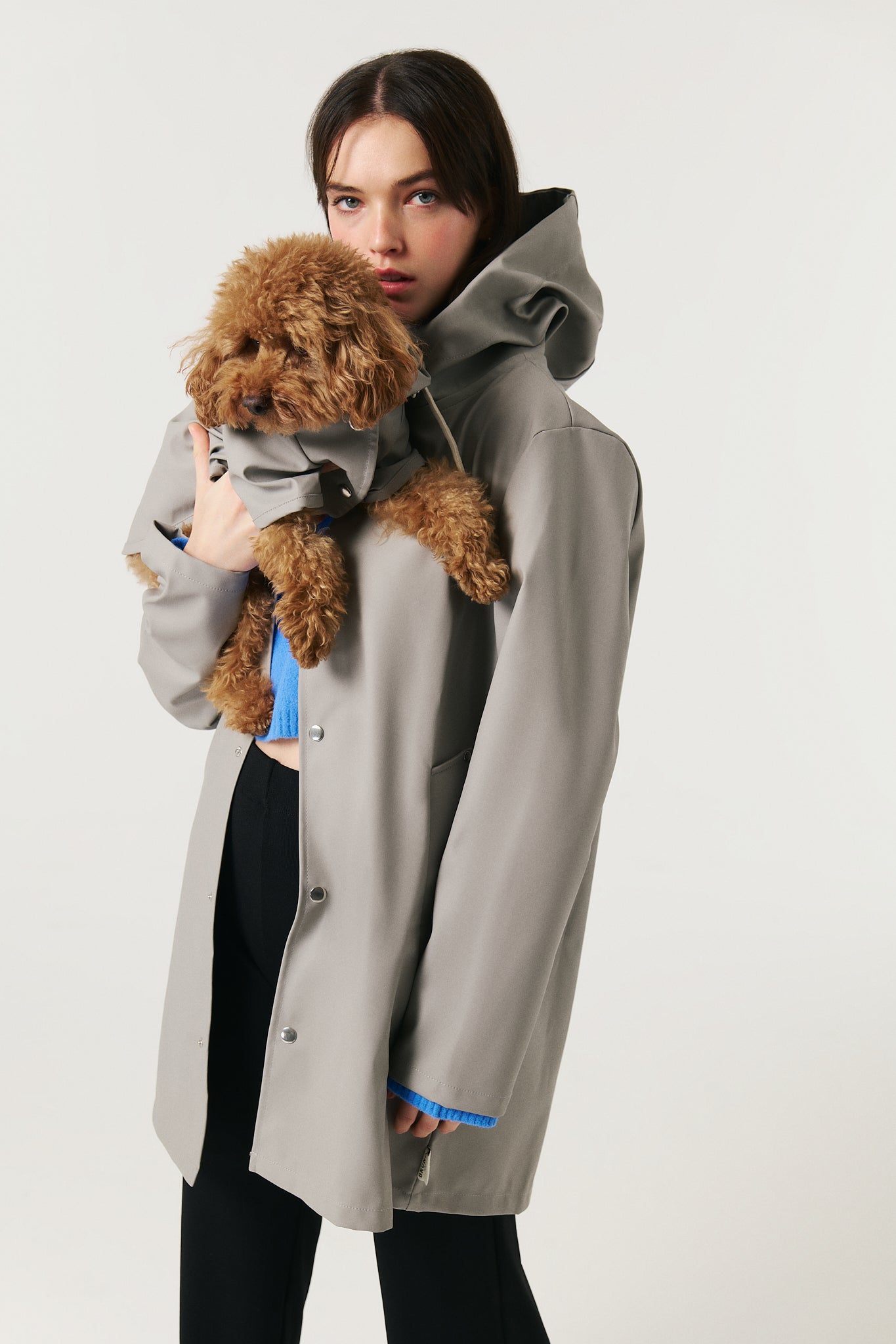 Dog Raincoat - Gray