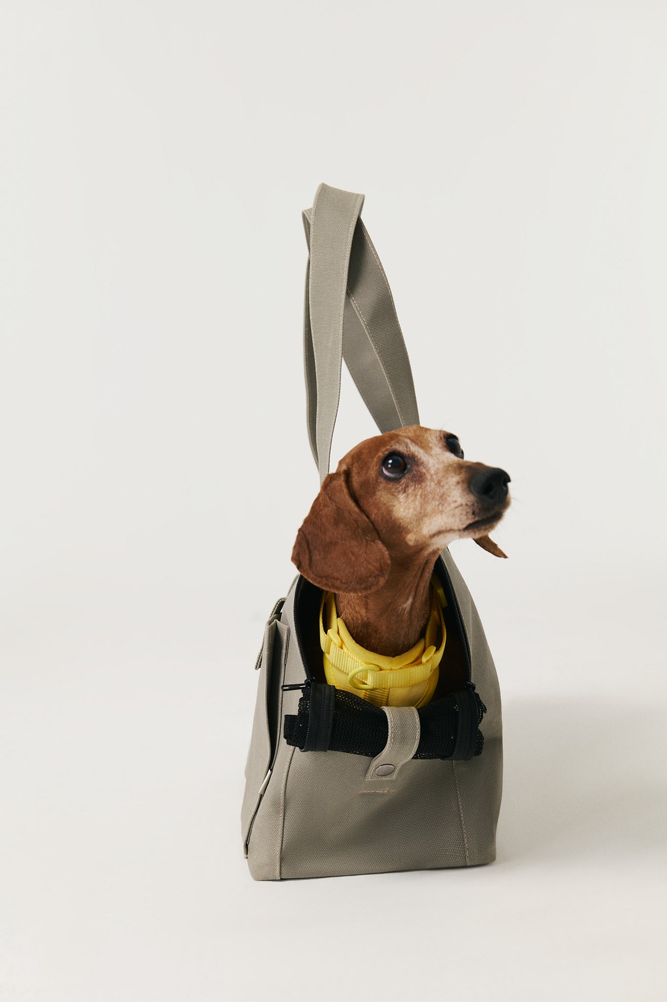Carrier Bag - Green Tea