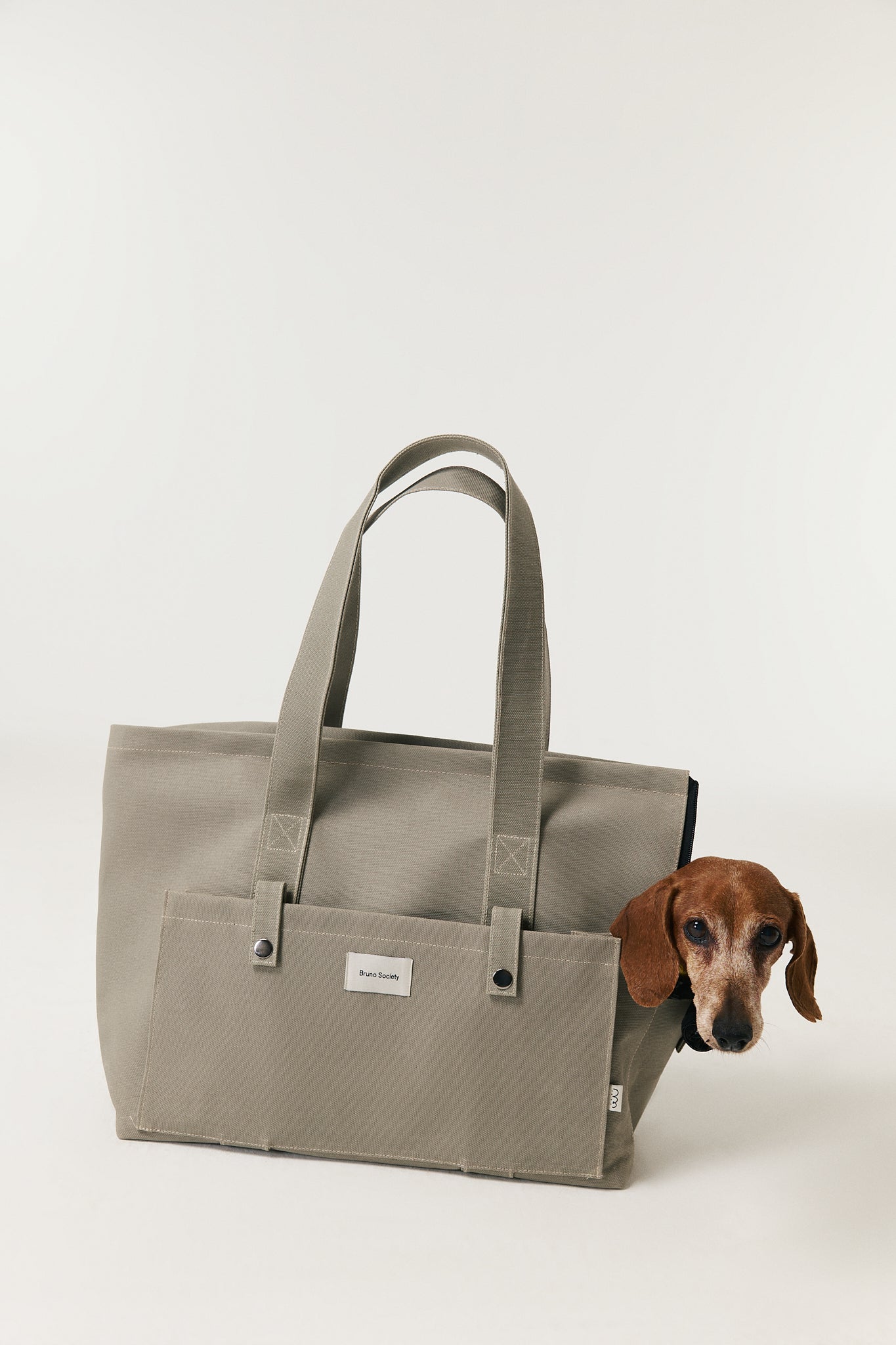 Carrier Bag - Green Tea