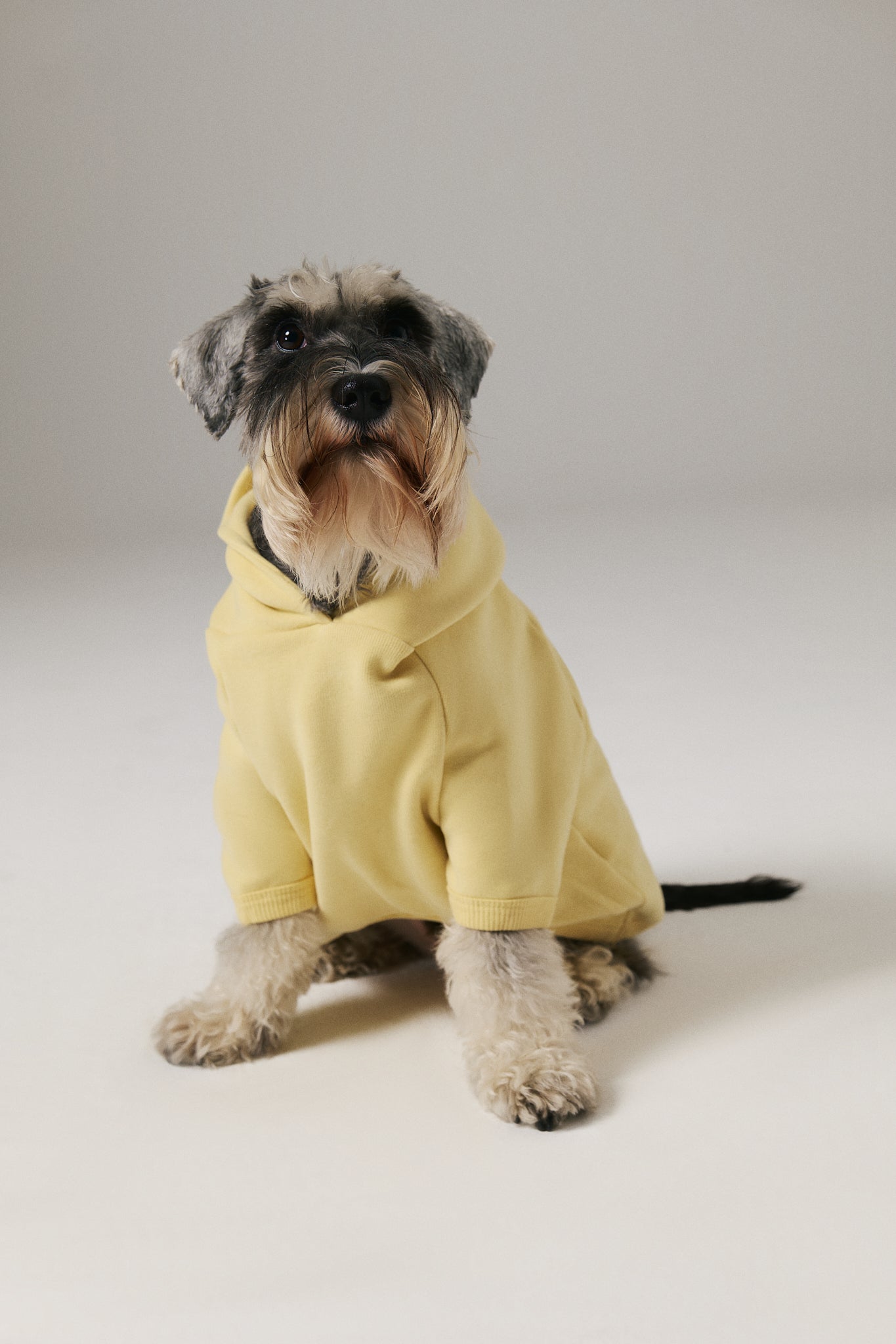 Dog Yoga Hoodie - Yellow