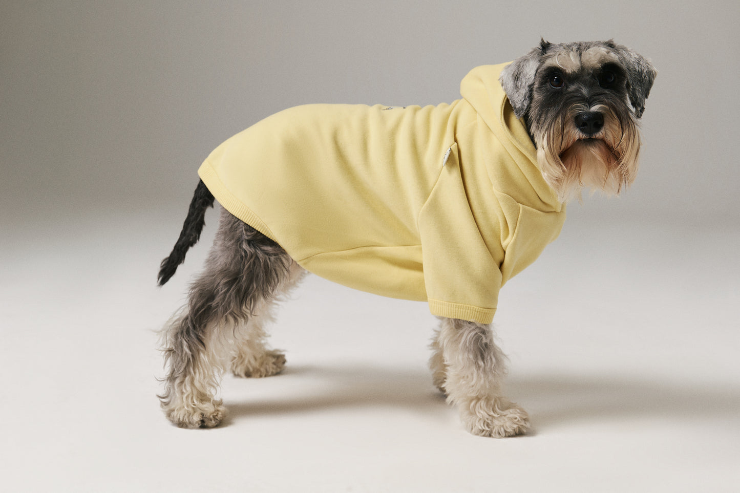 Dog Yoga Hoodie - Yellow