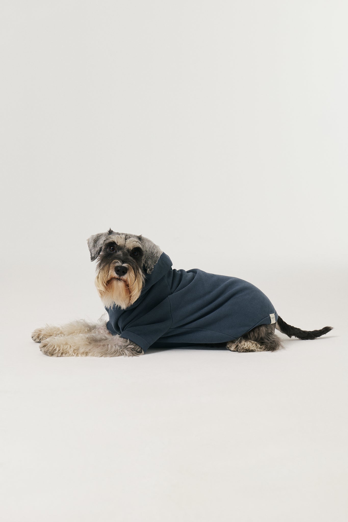 Hoodie - Horizon Blue