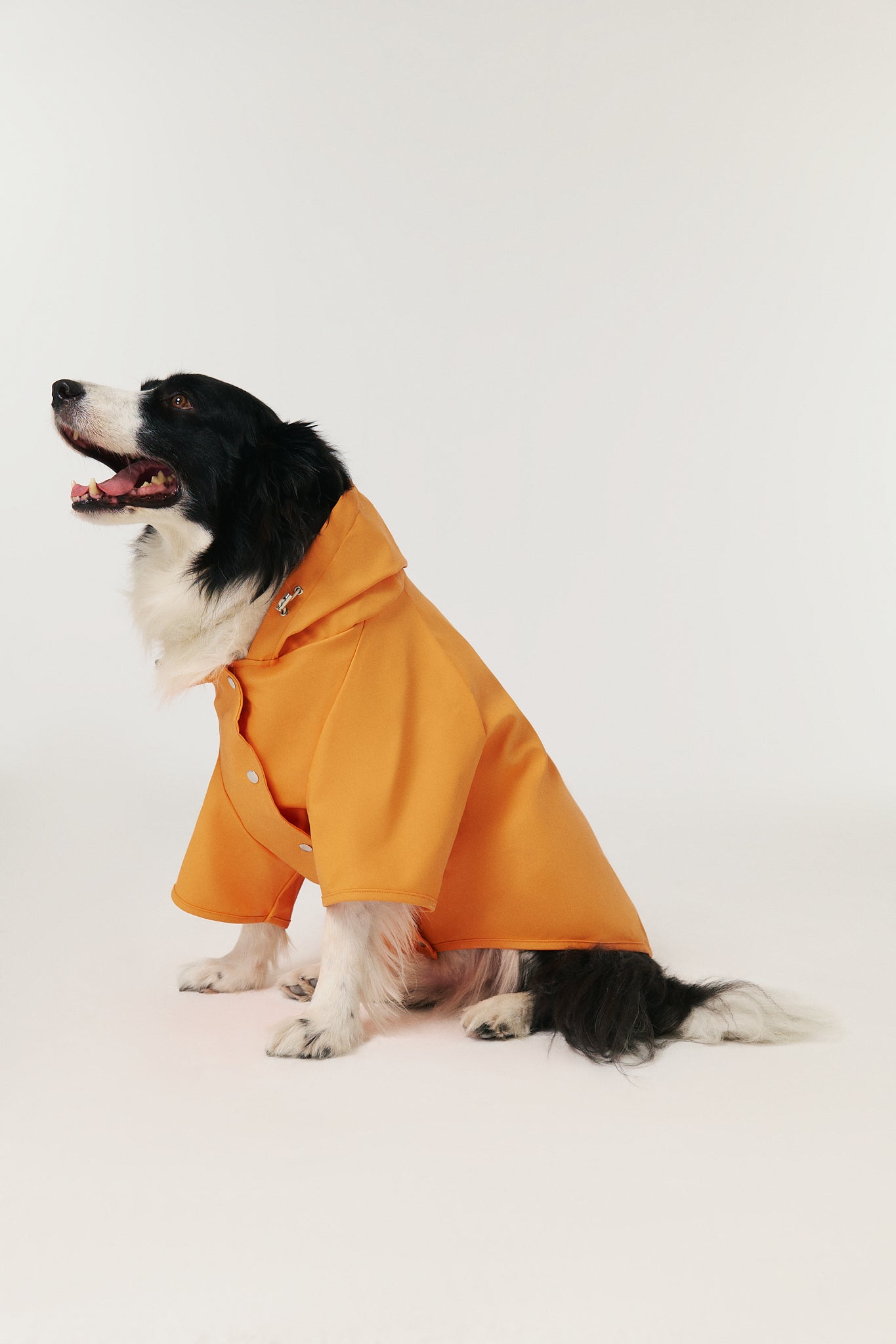 Dog Raincoat - Orange