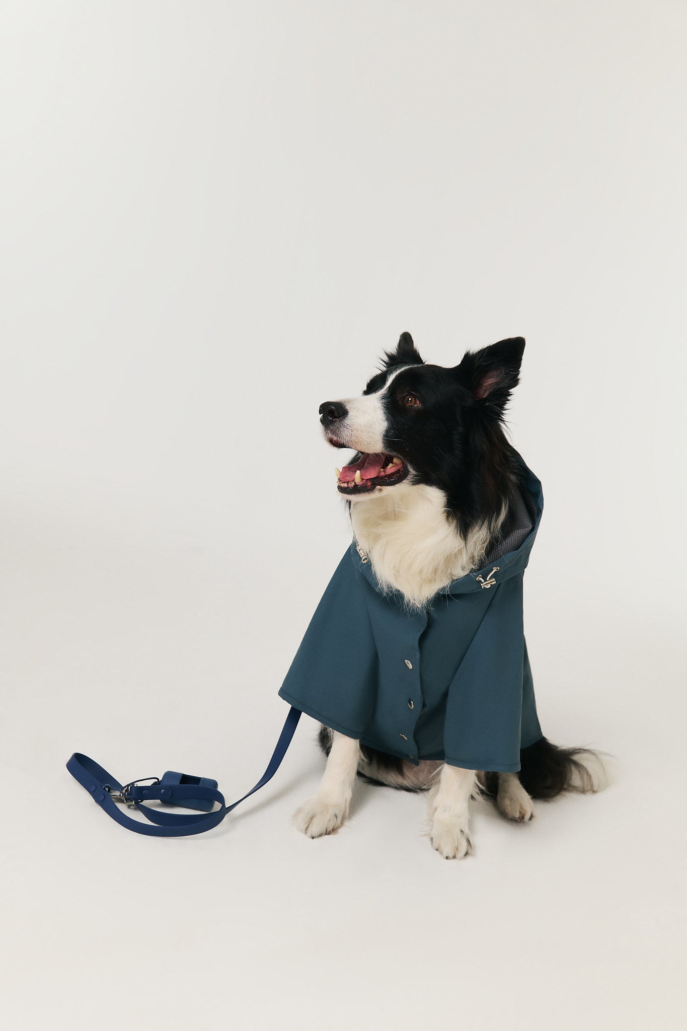 Dog Raincoat - Horizon Blue