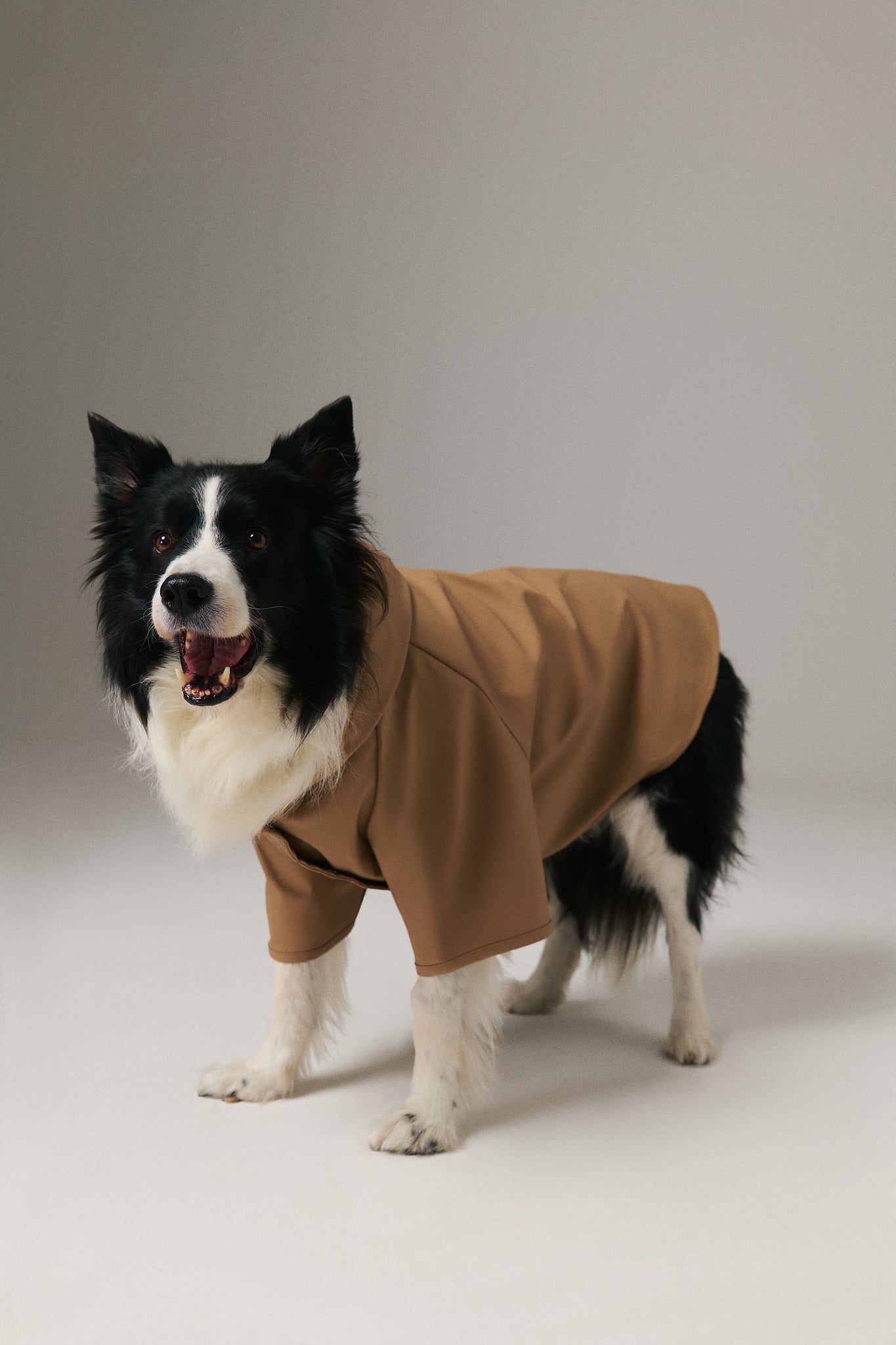 Köpek Yağmurluk - Cinnamon
