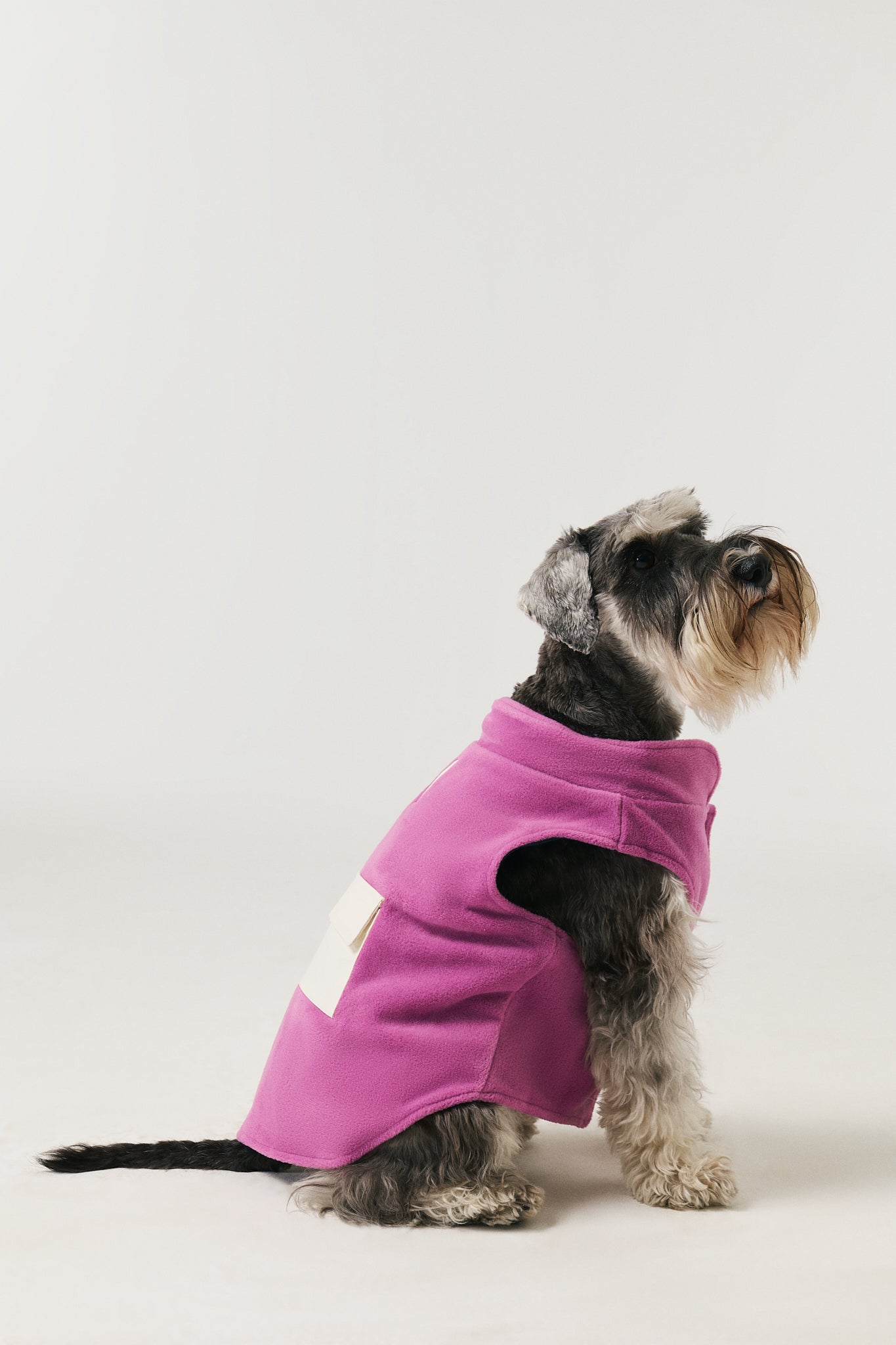 Köpek Polar Mont - Lila