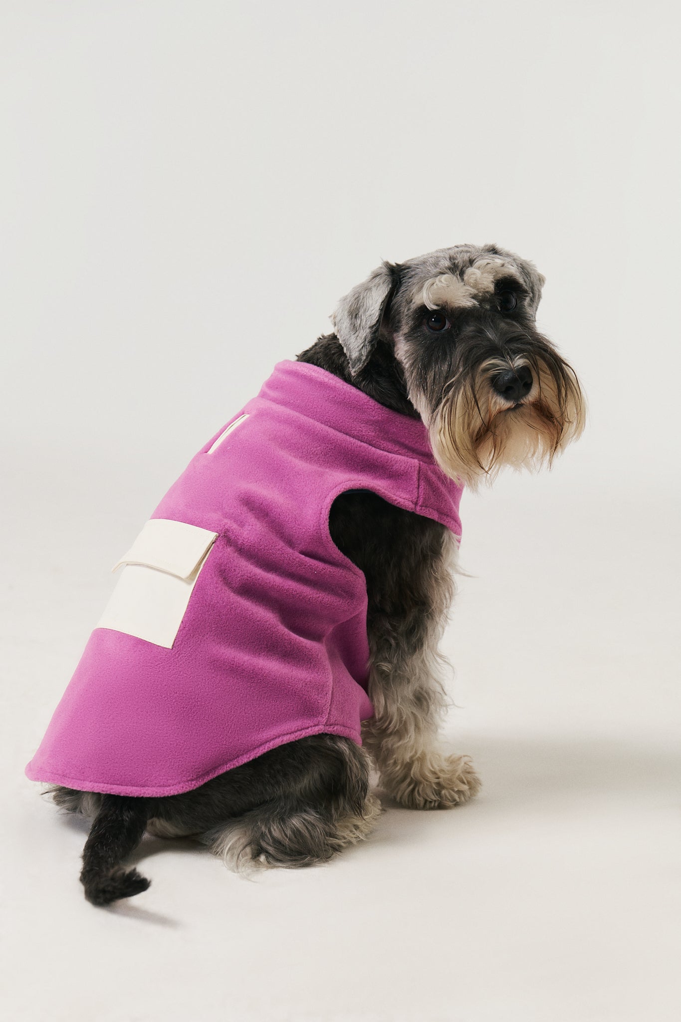 Köpek Polar Mont - Lila