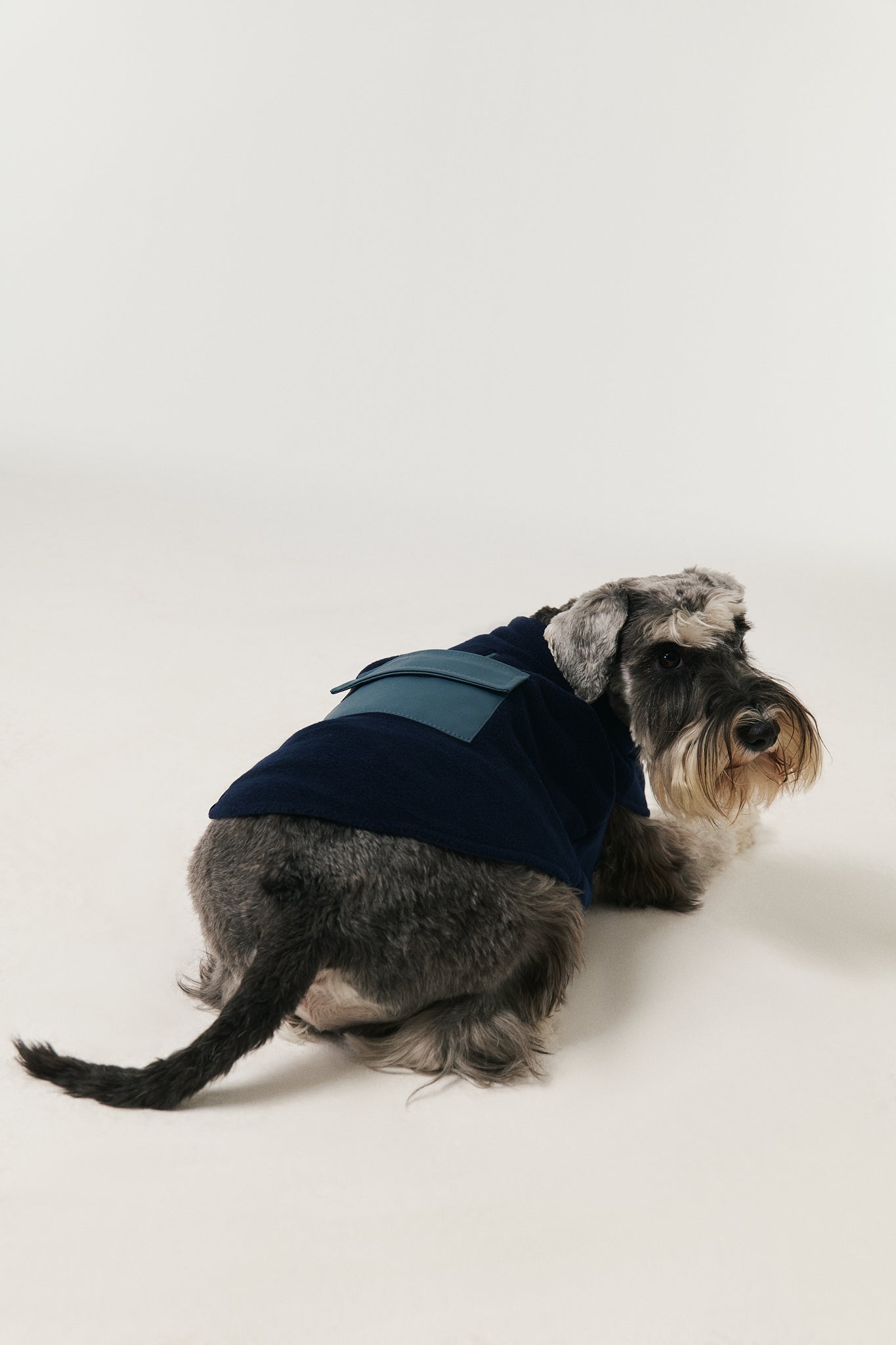 Köpek Polar Mont - Lacivert