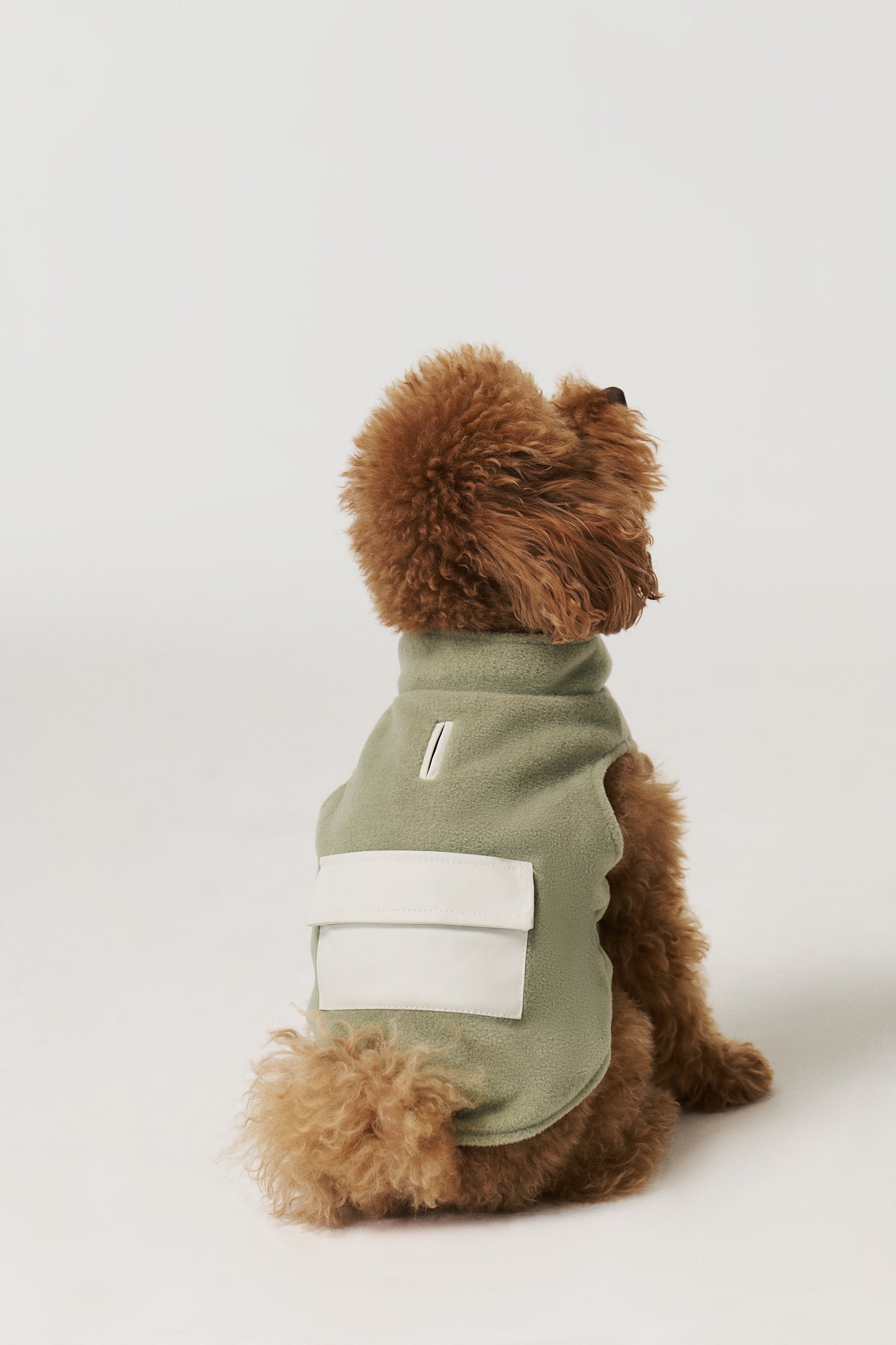 Köpek Polar Mont - Green