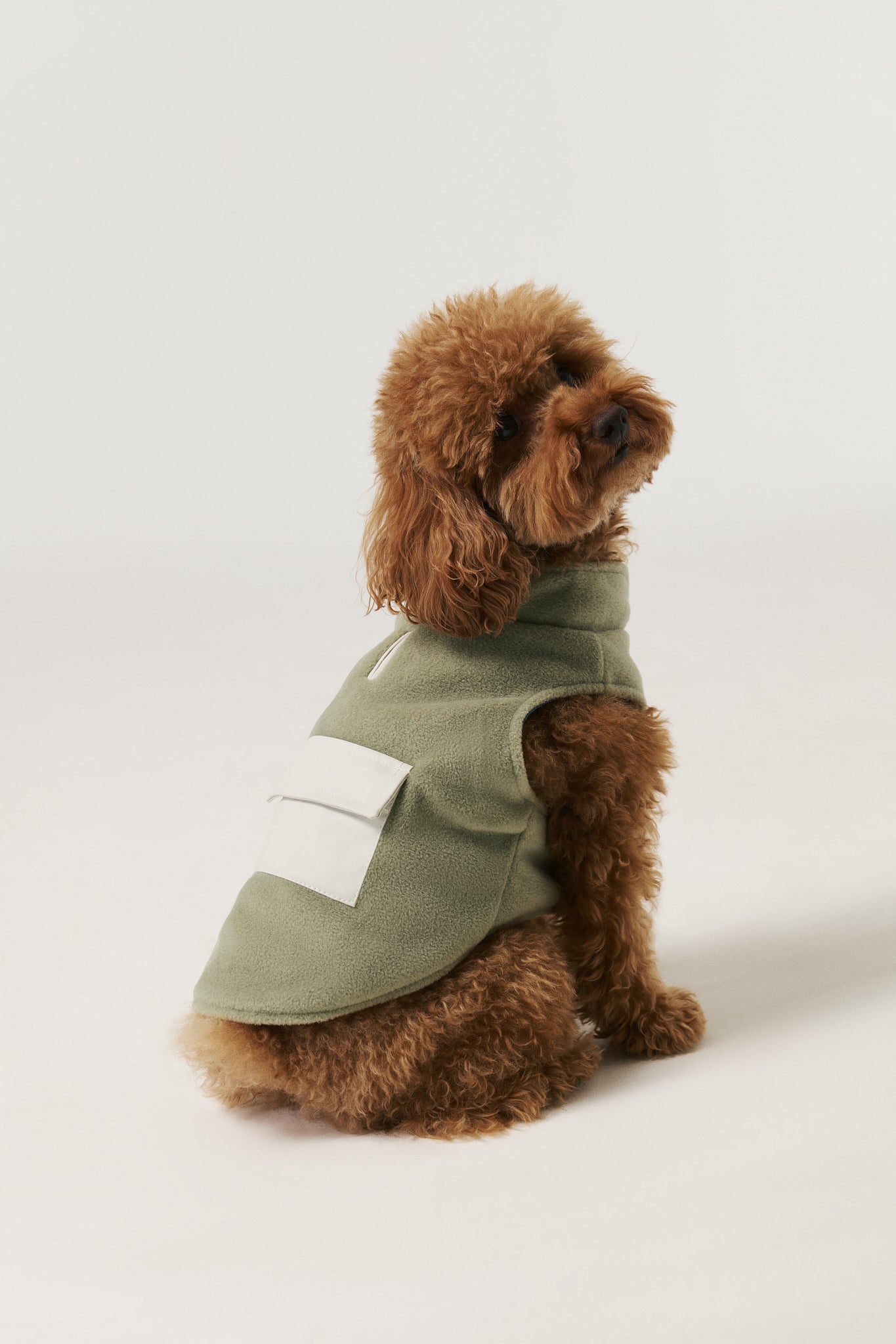 Köpek Polar Mont - Green