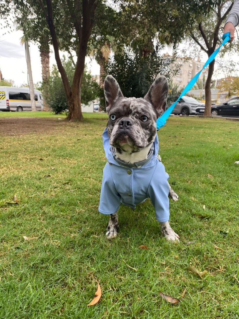 Dog Raincoat - Light Blue