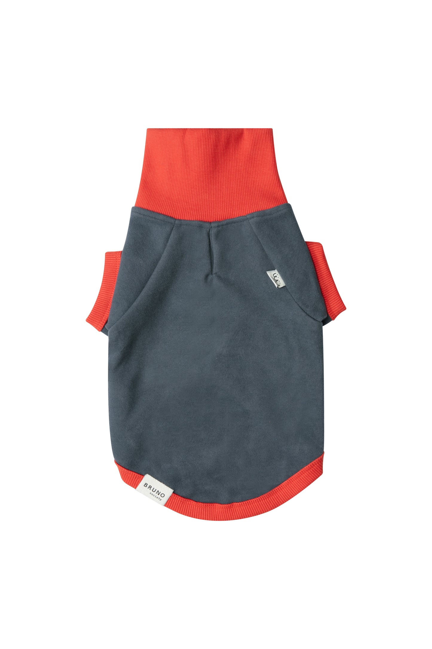 Turtleneck Sweatshirt - Horizon Blue/Light Red