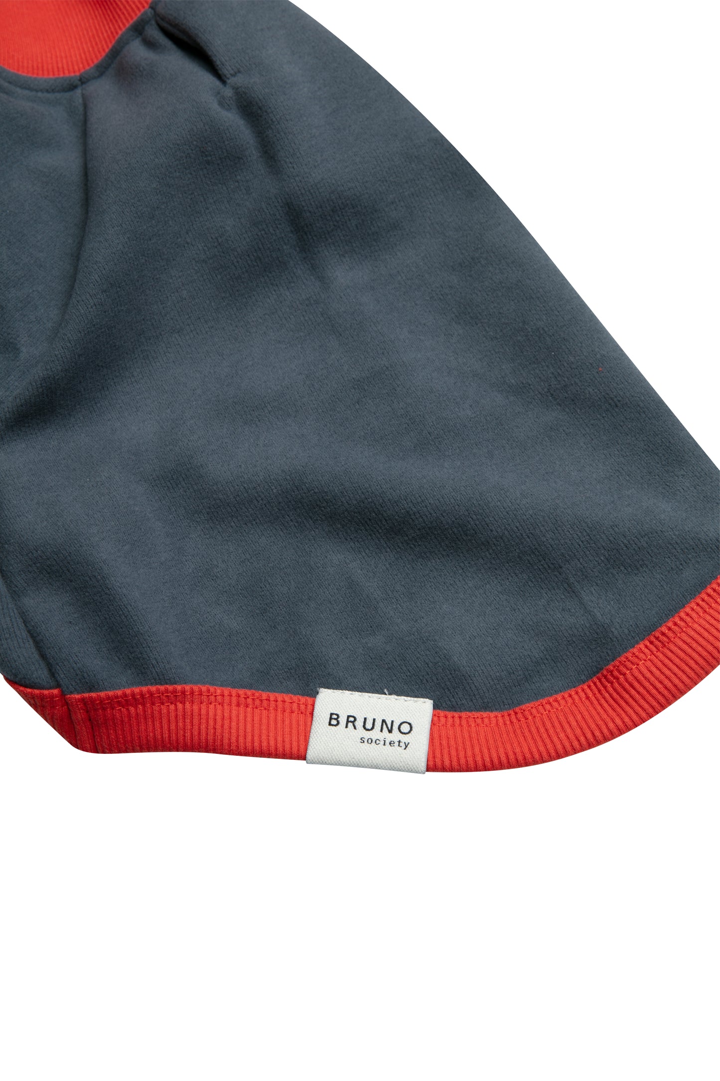 Turtleneck Sweatshirt - Horizon Blue/Light Red