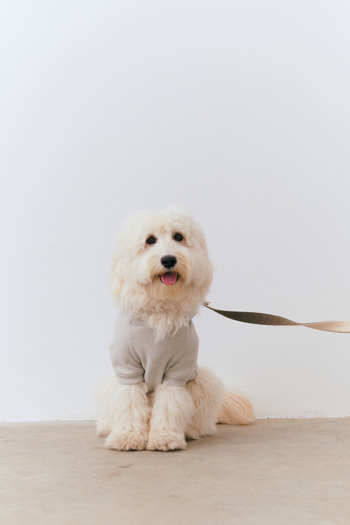 Bulldog Köpek Hoodie - Gri