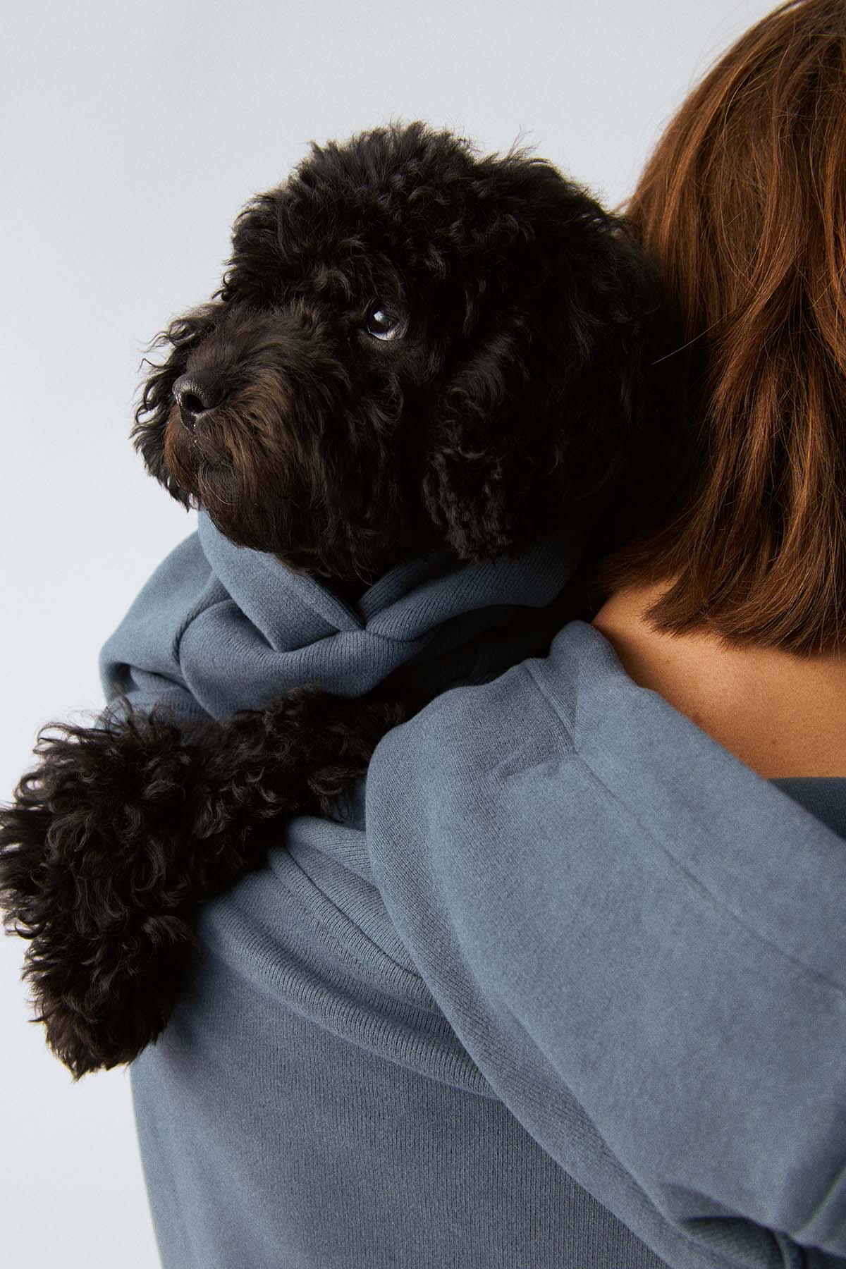Köpek Hoodie - Ufuk Mavisi - Bruno Society