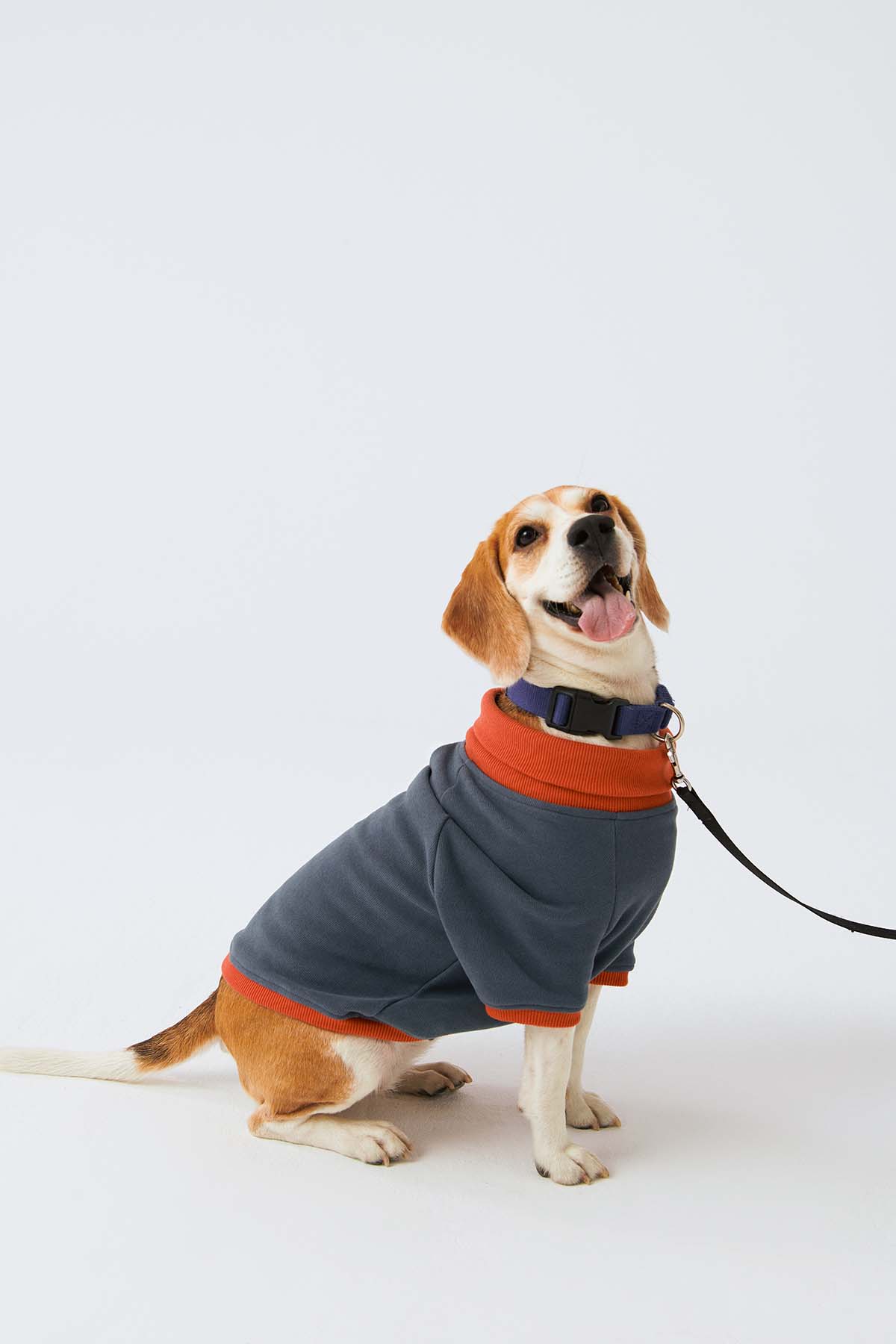 Köpek Sweatshirt - Ufuk Mavisi/Açık Kırmızı - Bruno Society
