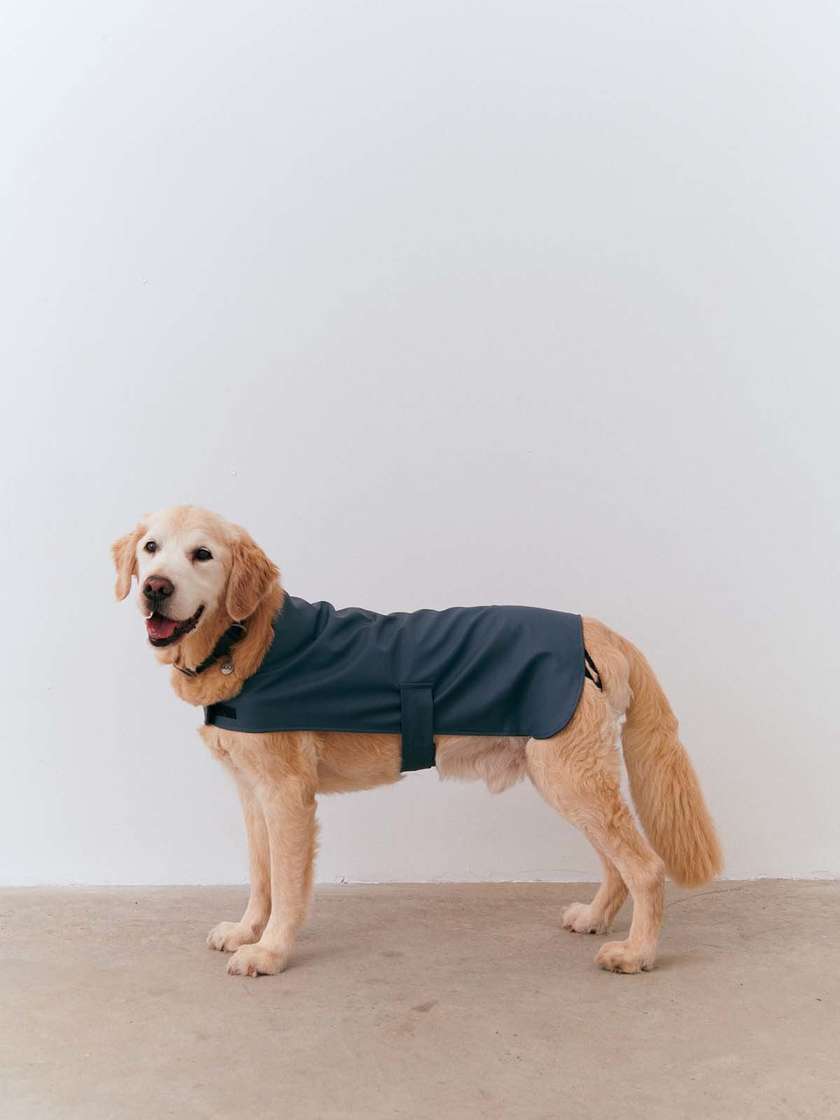 Strapped Raincoat - Horizon Blue