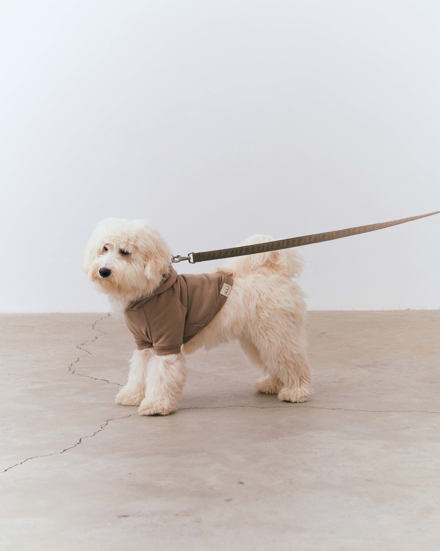 Dog Hoodie - Beige