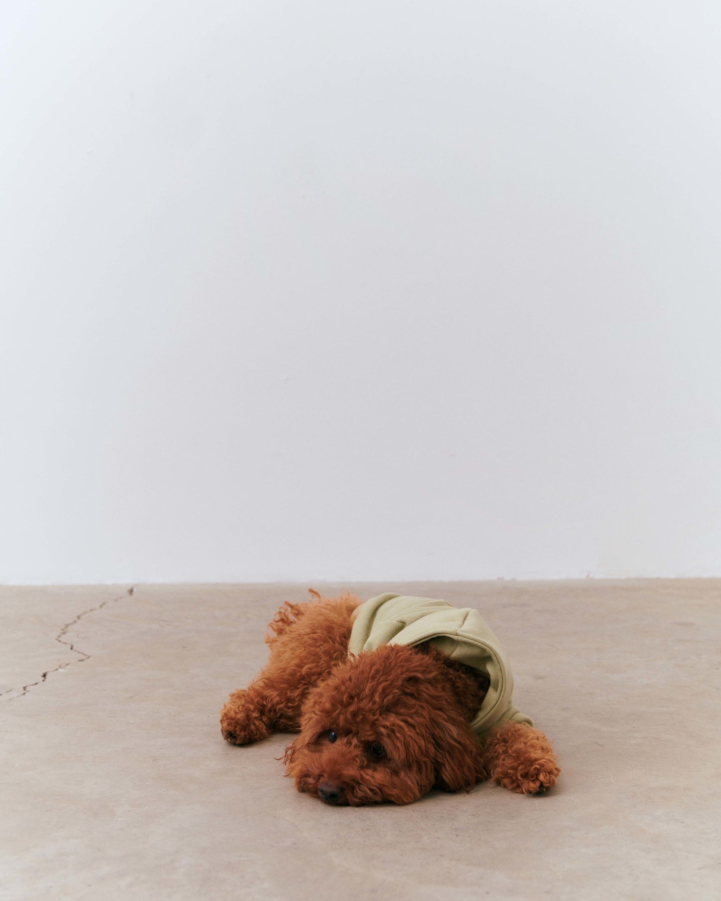 Dog Sailor Hoodie - Green