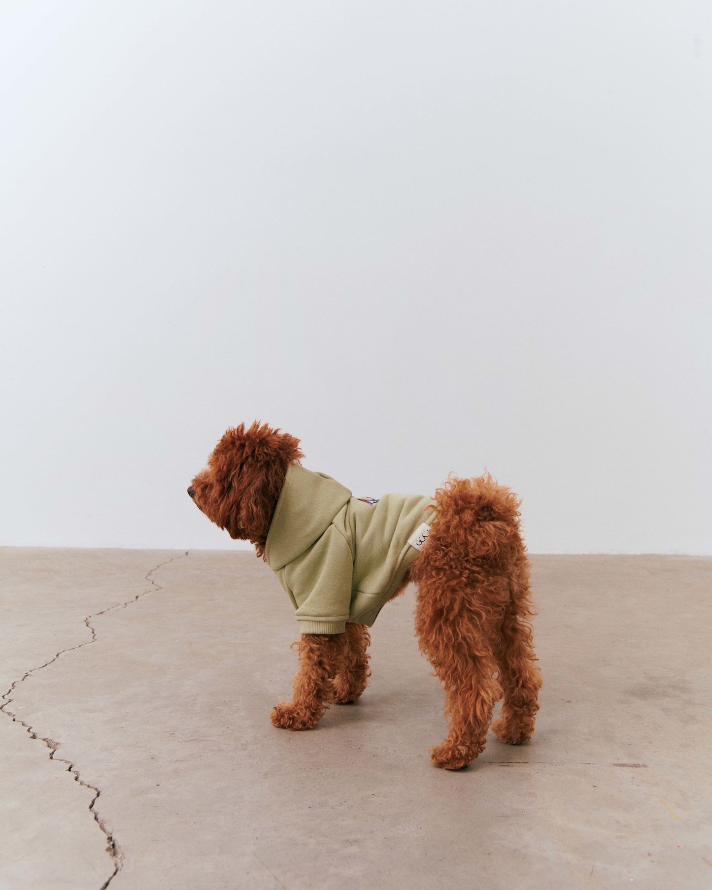 Dog Sailor Hoodie - Green