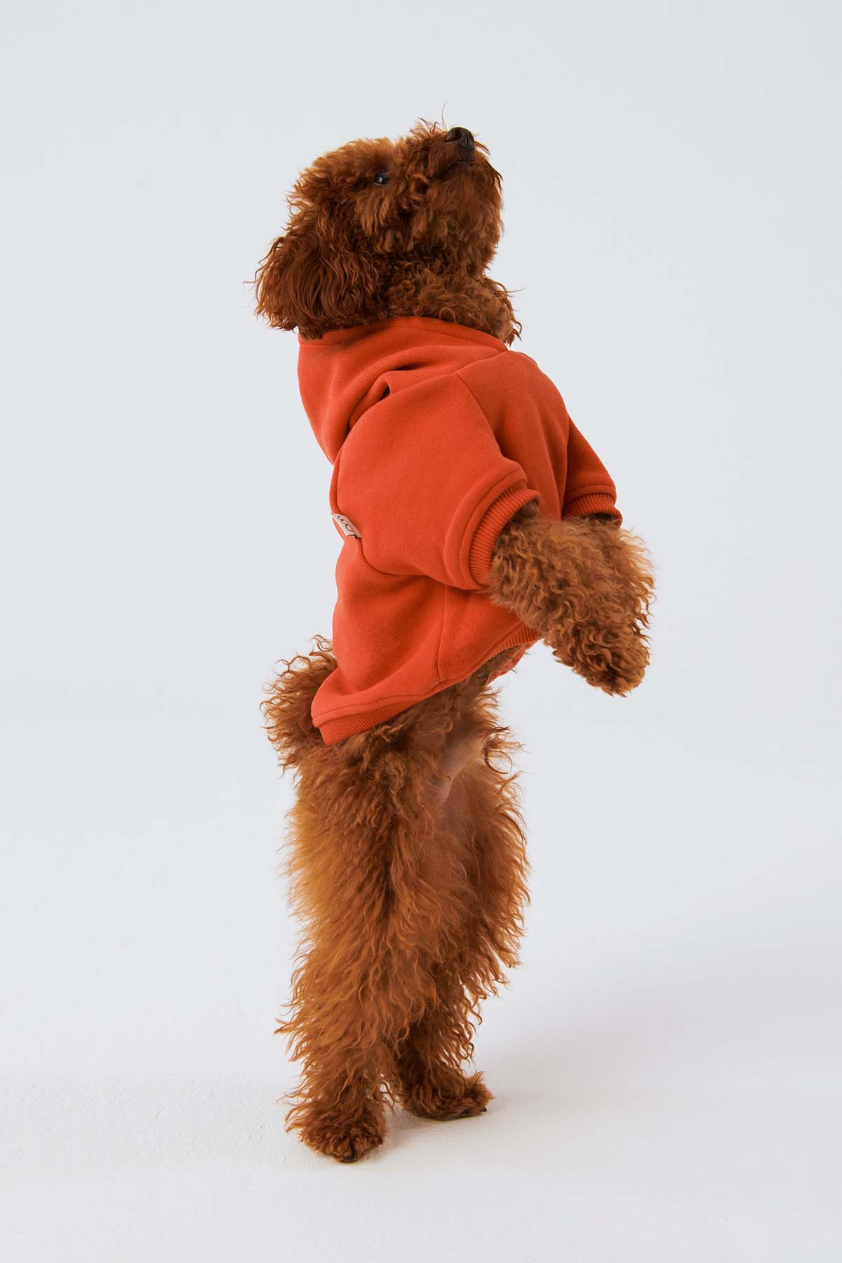 Köpek Hoodie - Açık Kırmızı - Bruno Society