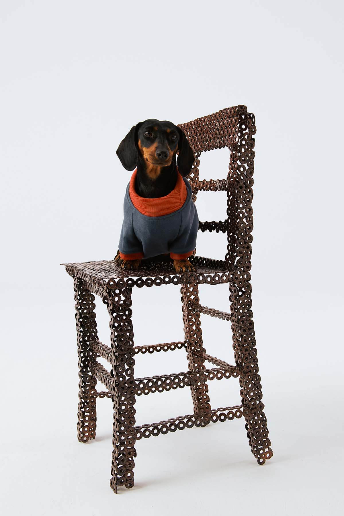 Köpek Sweatshirt - Ufuk Mavisi/Açık Kırmızı - Bruno Society
