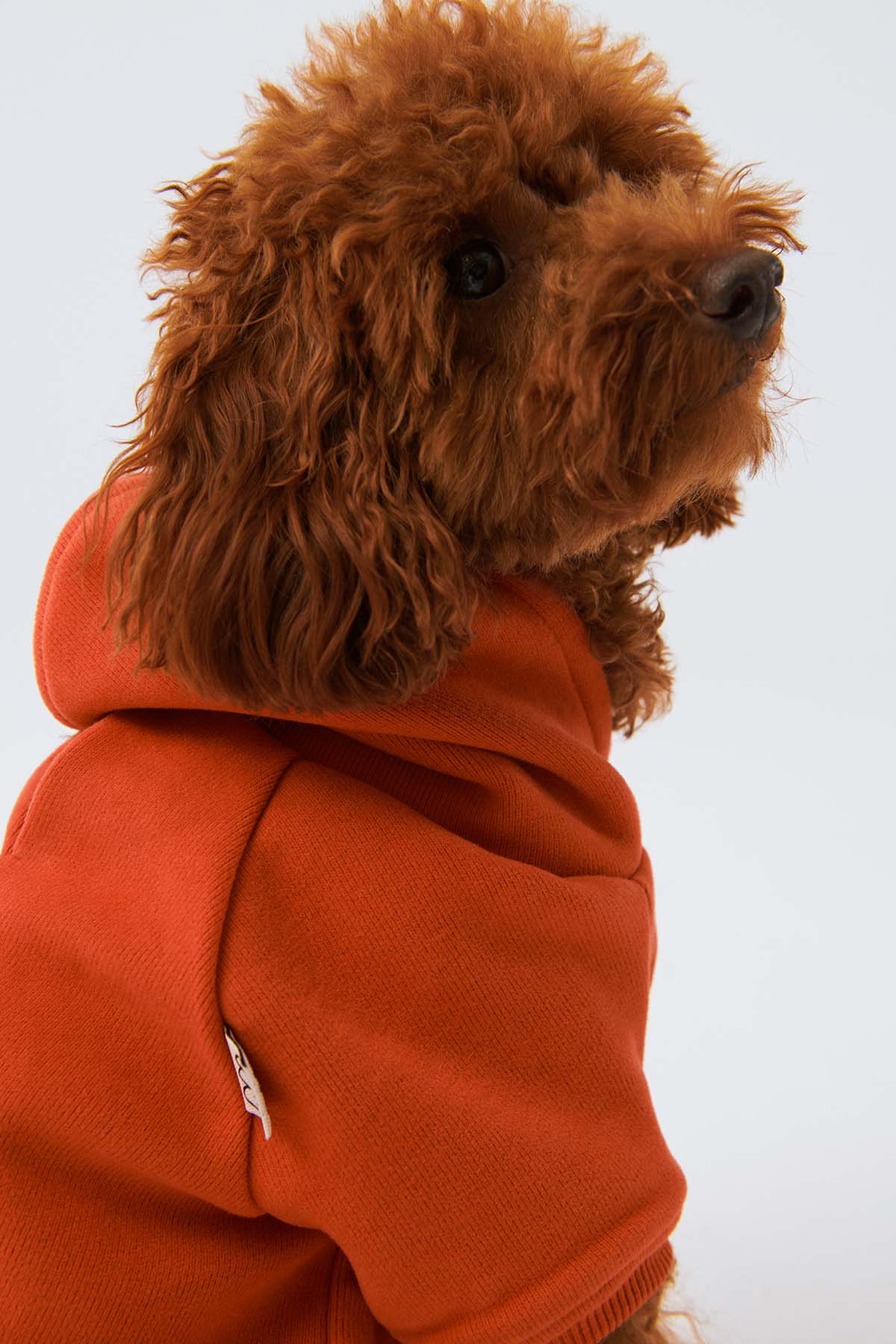 Köpek Hoodie - Açık Kırmızı - Bruno Society