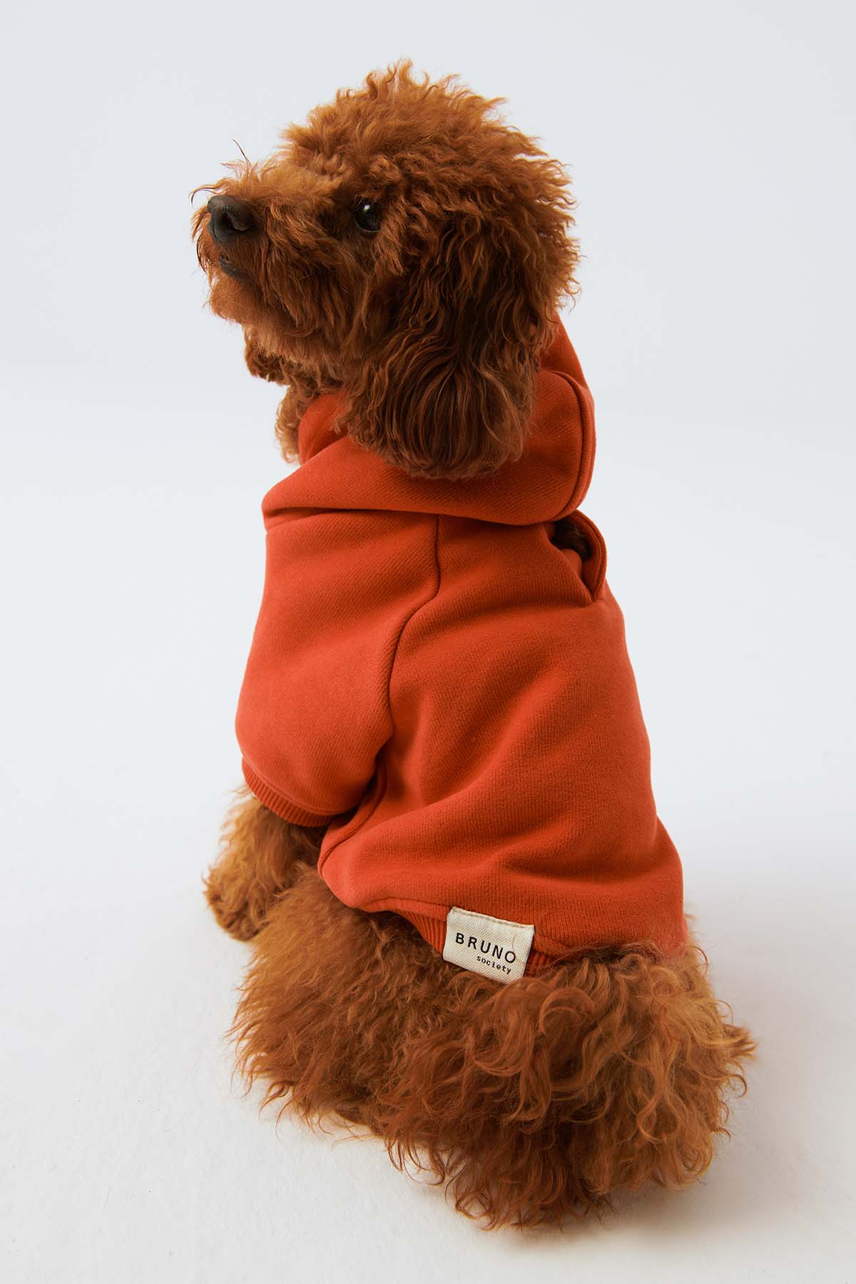 Köpek Hoodie - Açık Kırmızı - Bruno Society