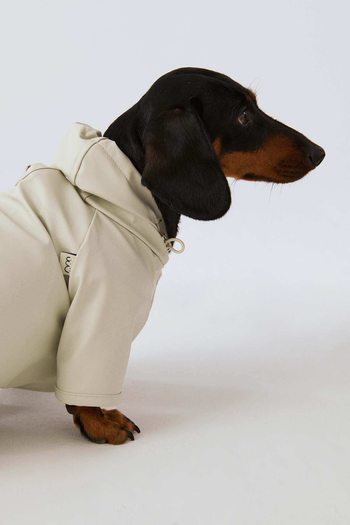 Köpek Yağmurluk - Kar Beyazı - Bruno Society