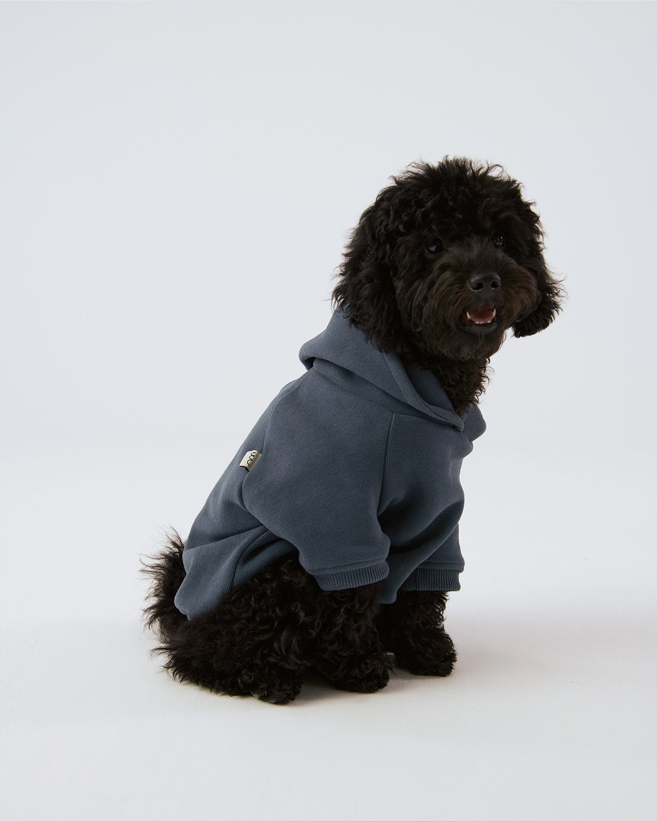 Hoodie - Horizon Blue