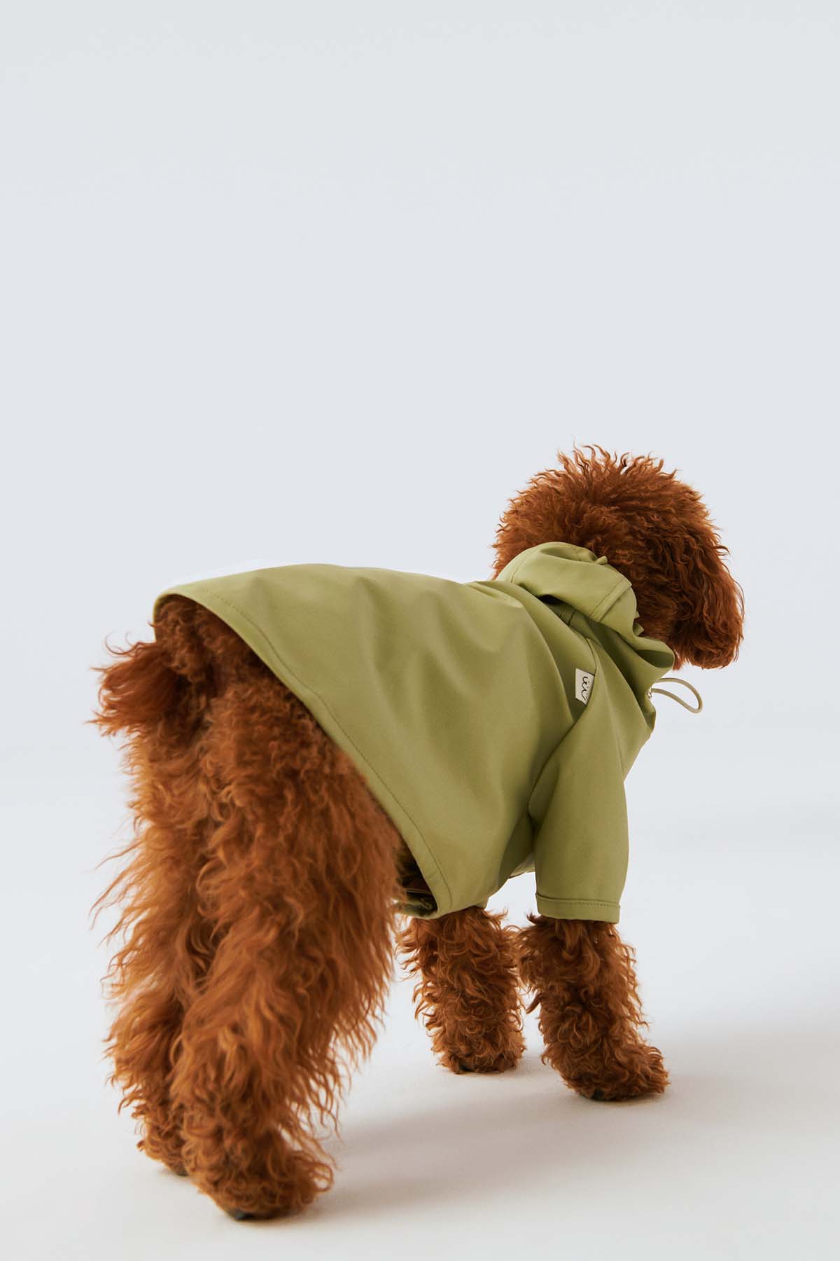Köpek Yağmurluk - Yosun Yeşili - Bruno Society
