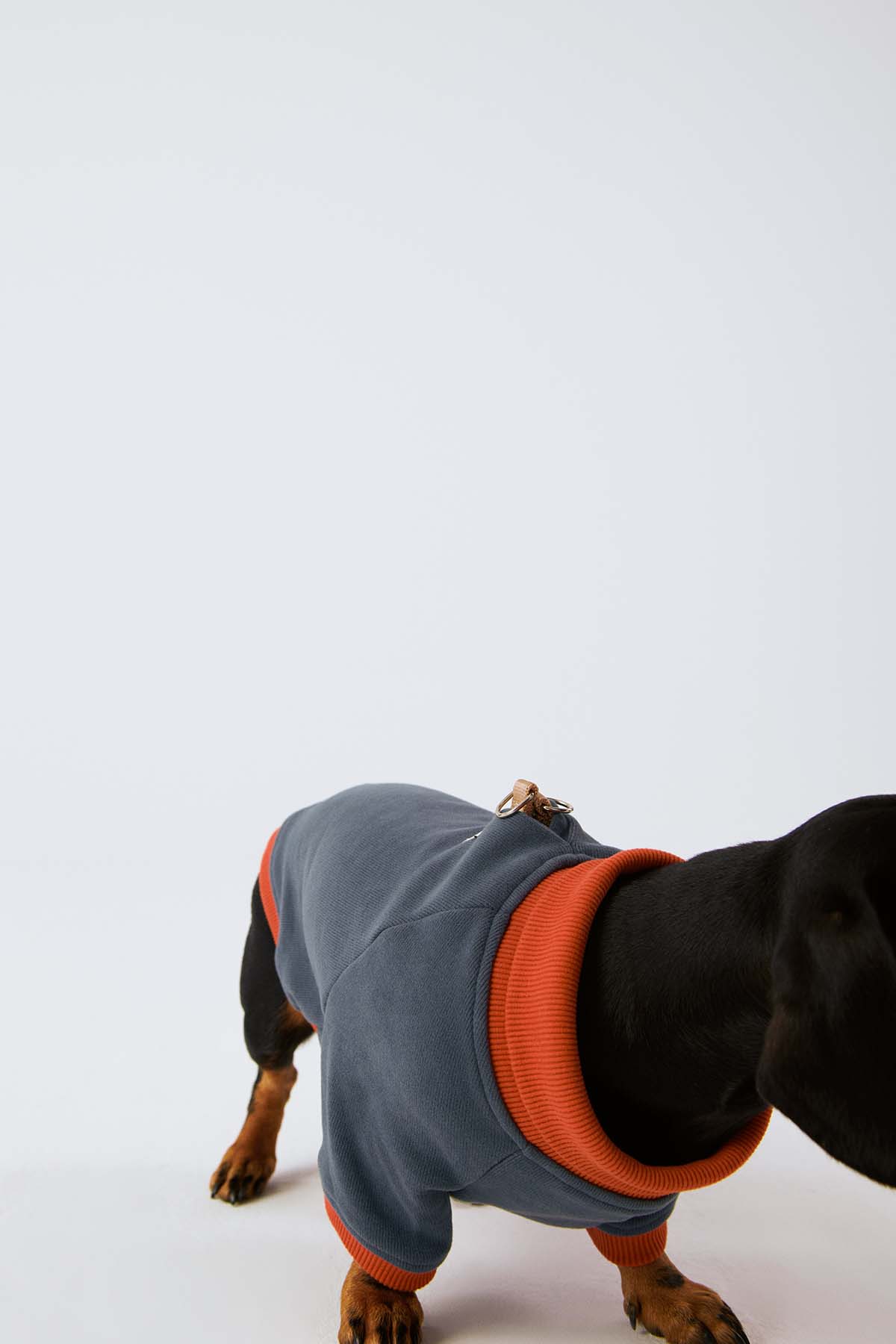 Köpek Sweatshirt - Ufuk Mavisi/Açık Kırmızı - Bruno Society